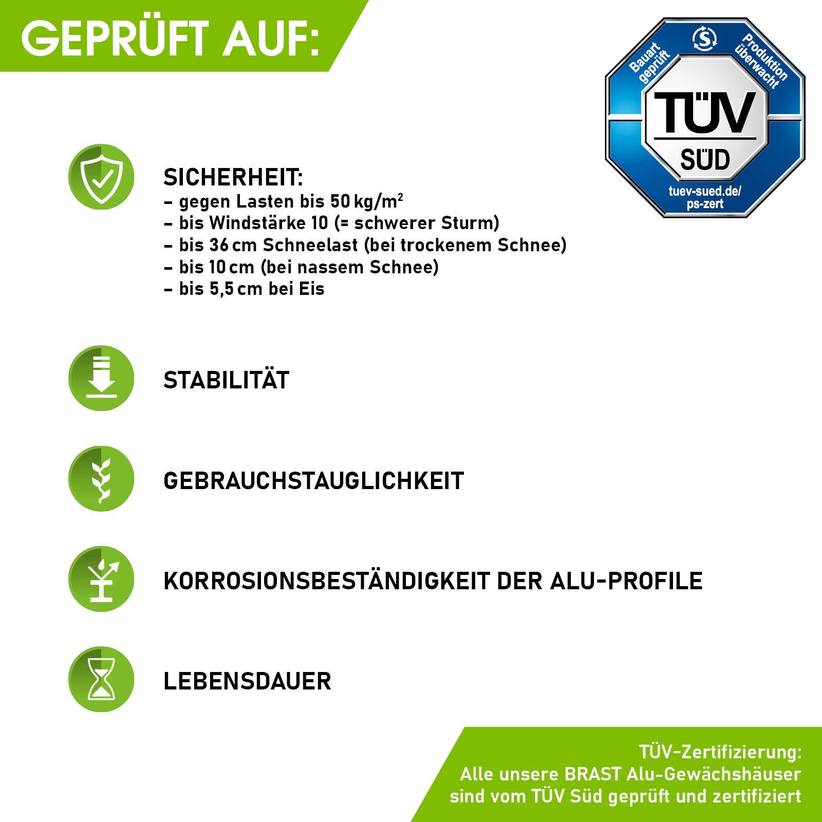 BRAST Gewächshaus ALU mit Fundament ros...