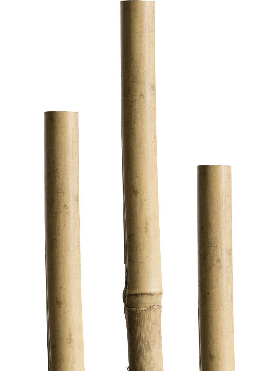 Windhager Rankhilfe Windhager Tonkinstäbe 90cm 7 günstig online kaufen