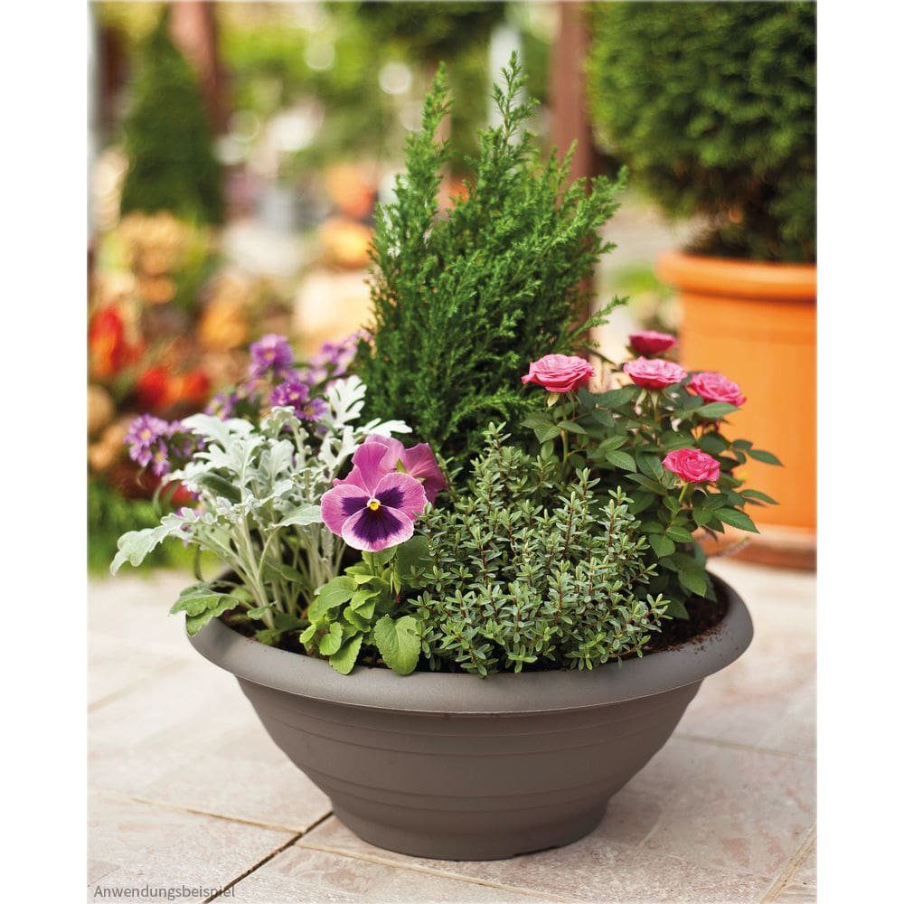 Thumbnail - matches21 HOME & HOBBY Blumentopf (1 St)