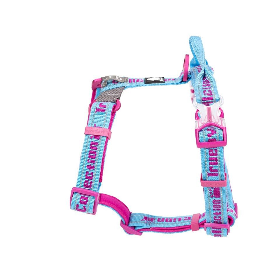 Truelove Hunde-Geschirr Escape Geschirr mit Neopren unterlegt blau/pink