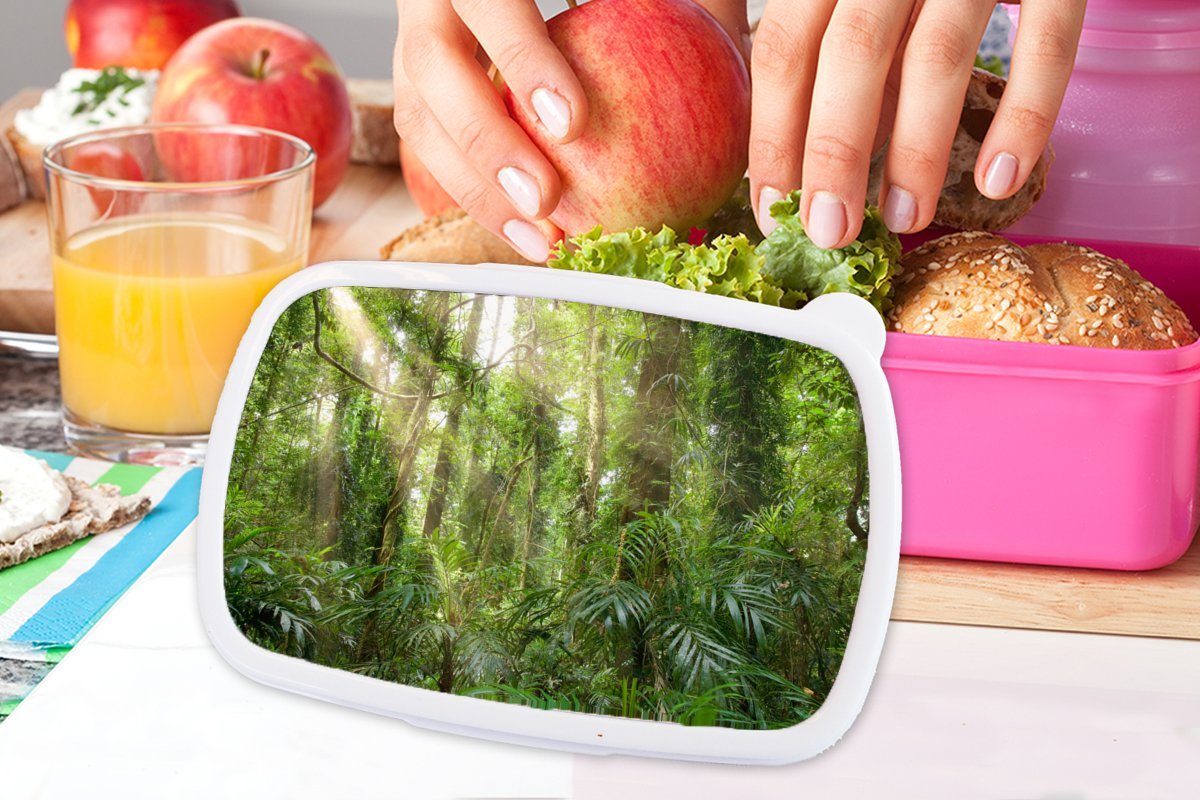 (2-tlg), für Lunchbox Kunststoff, Wald, Brotdose MuchoWow rosa im Kunststoff Licht Snackbox, Erwachsene, Brotbox Mädchen, Kinder,