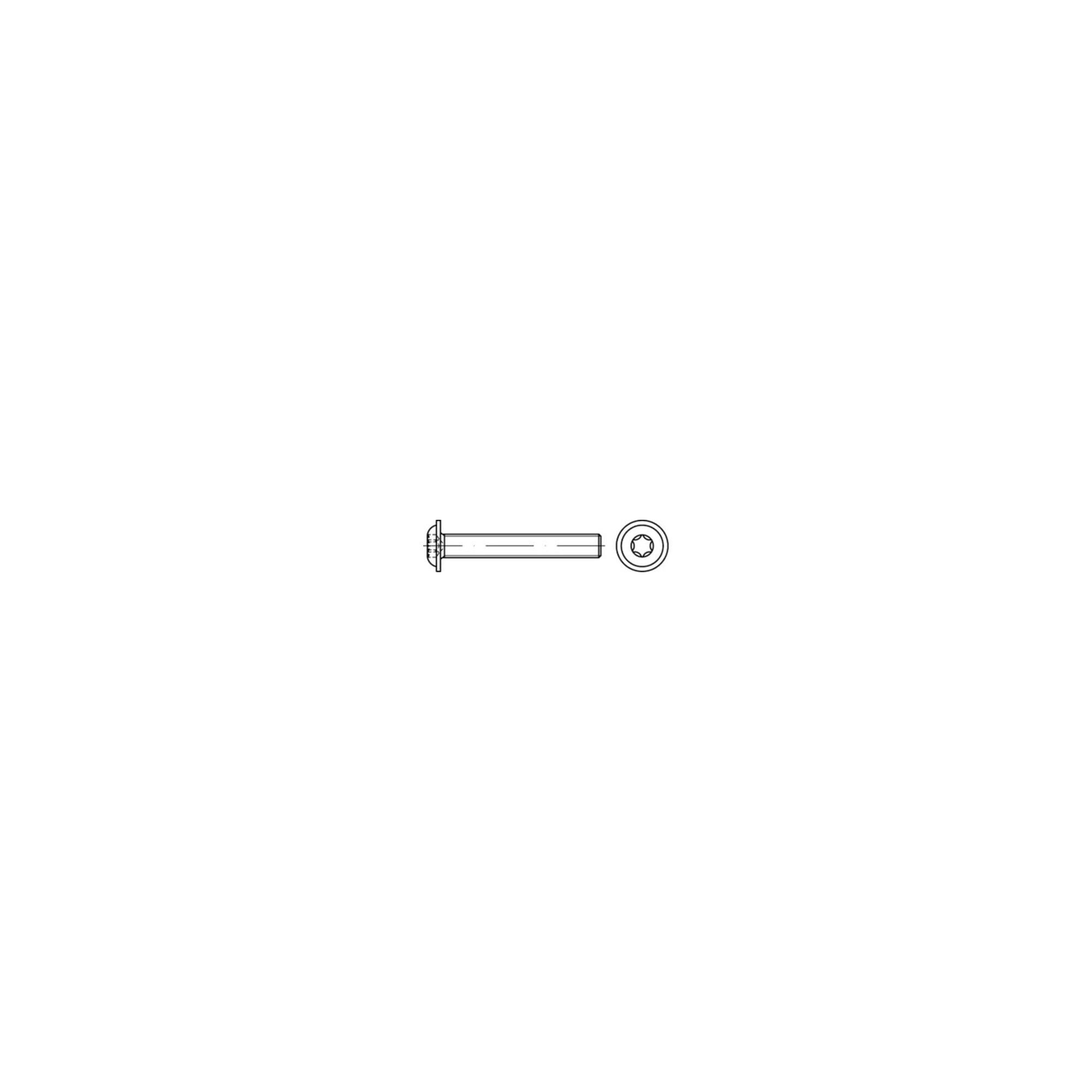 Contorion Schraube ISO 7380-2 Flachkopfschraube A 2 M 10 x 30 -T50 Vollgewinde A 2 100 St