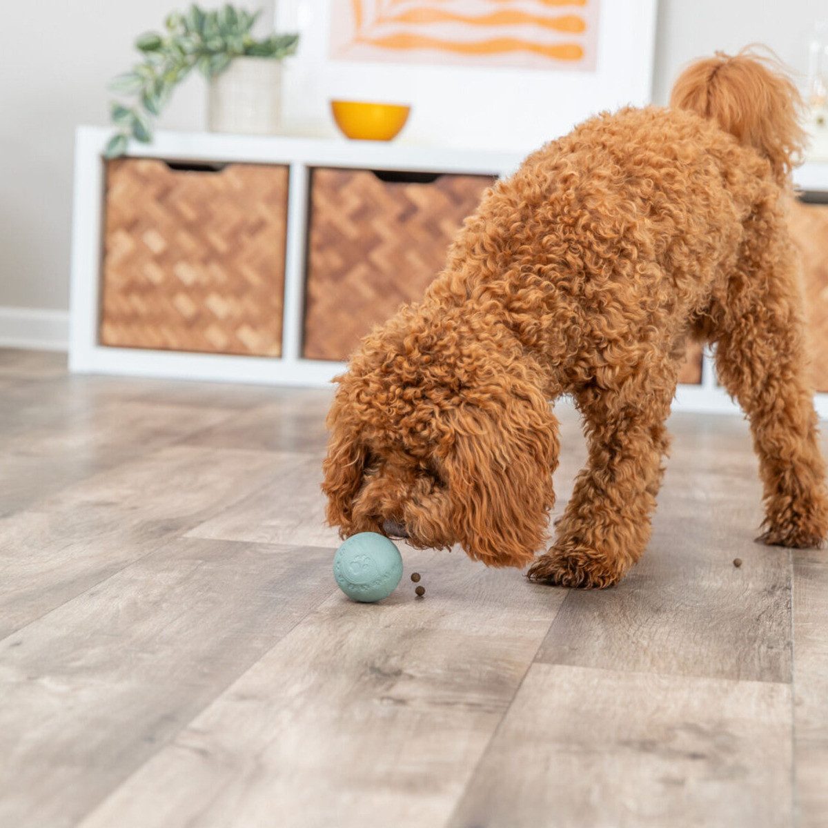 TRIXIE Snackball Dog Activity Labyrinth-Snacky günstig online kaufen