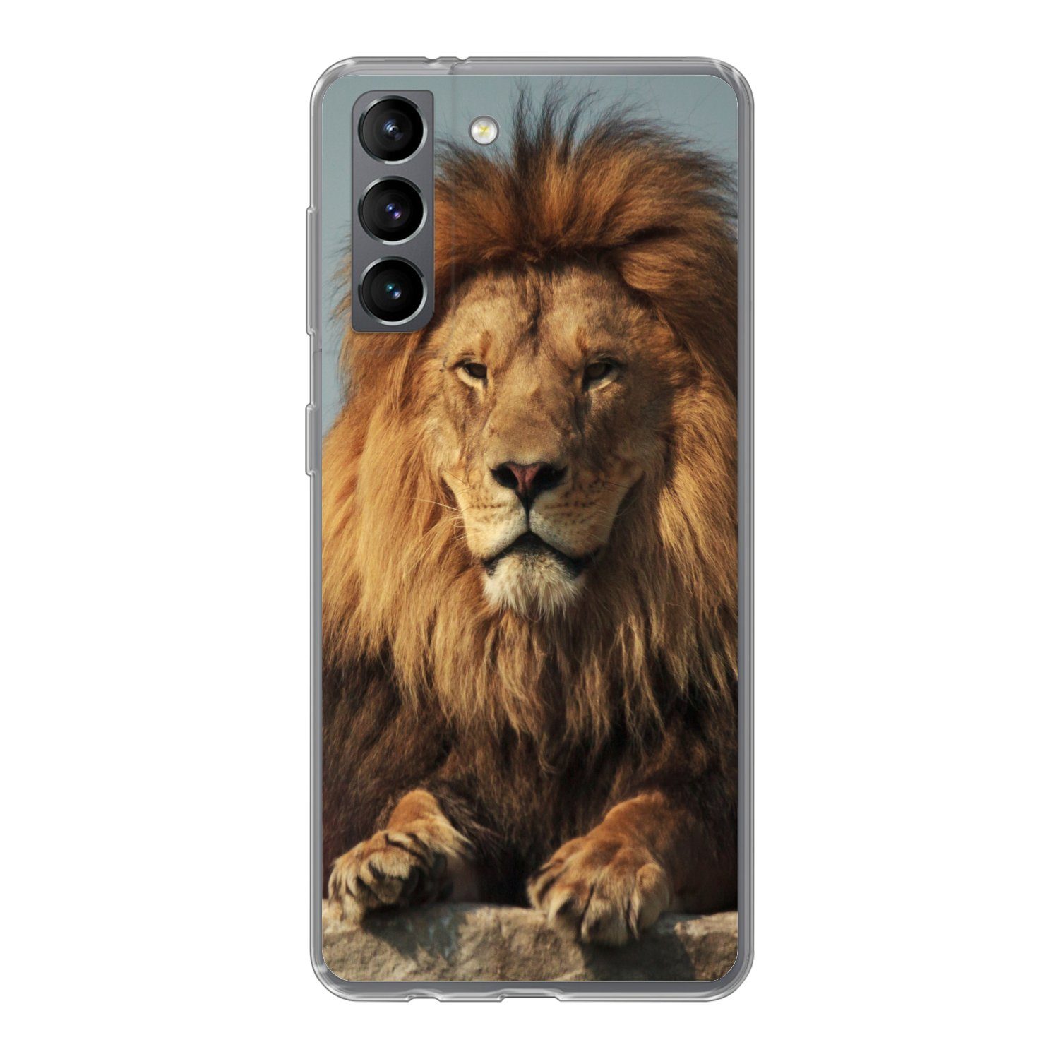 MuchoWow Handyhülle für Samsung Galaxy S21 Löwe - Felsen - Porträt, Phone Case, Silikon, Schutzhülle Dünn