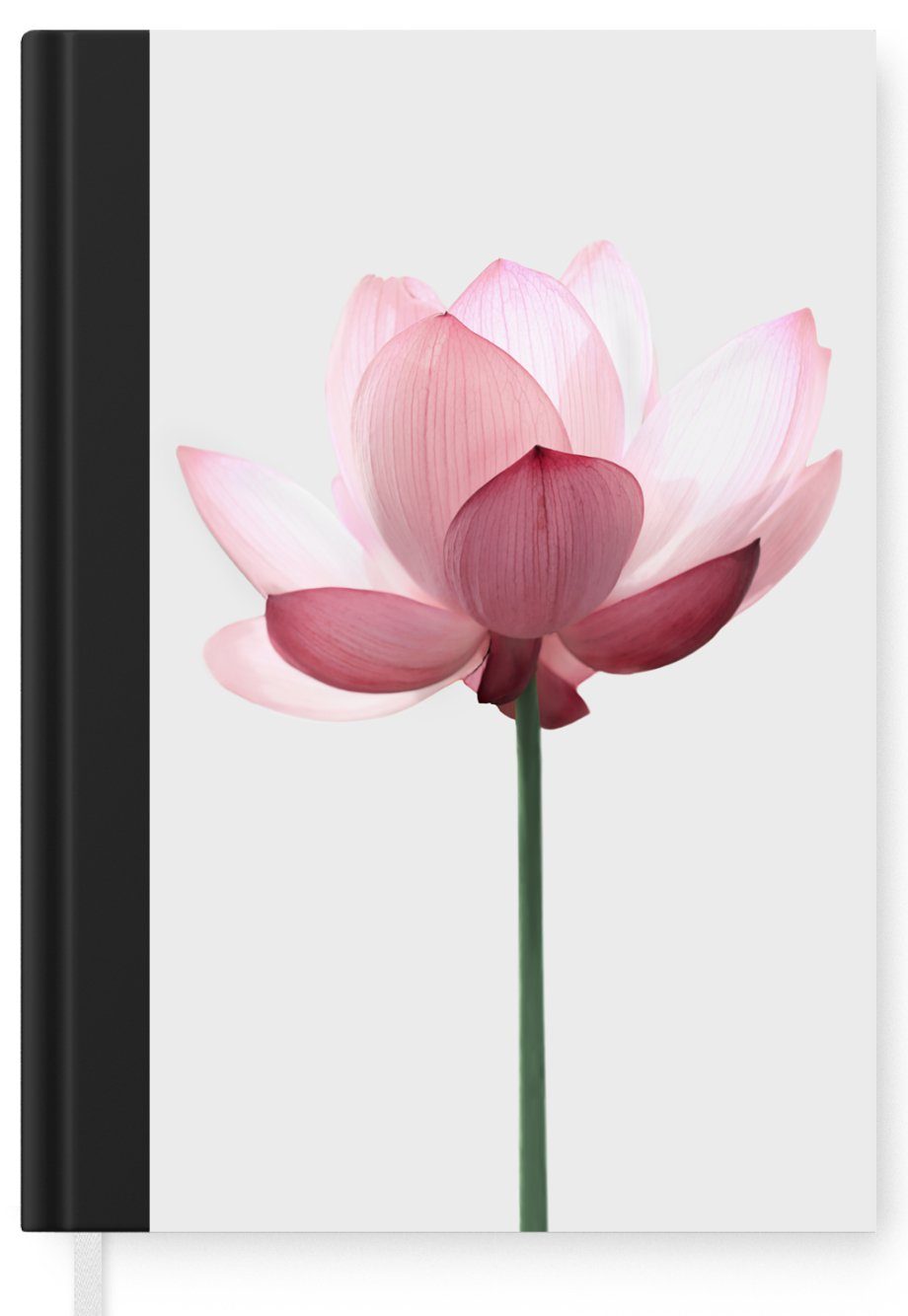 Rosa Botanisch, A5, - - Merkzettel, Seiten, Journal, Haushaltsbuch Blumen Natur - MuchoWow Notizbuch 98 Notizheft, Tagebuch,