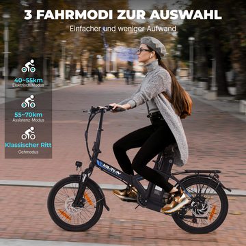 DOTMALL E-Bike Faltbares E-Bike 20 Zoll 250W VARUN 48v7.8AH Berg- und Flachstraßen