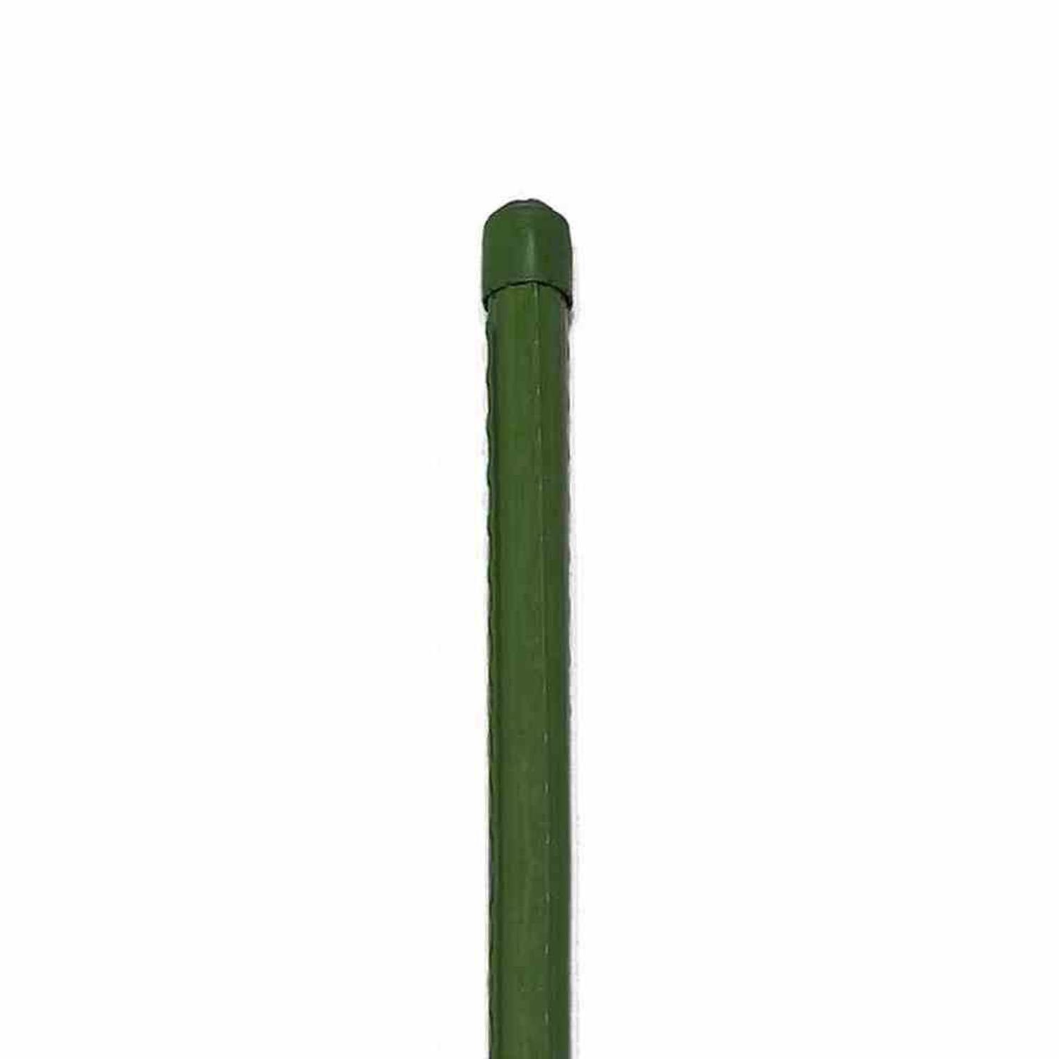 Siena Garden Rankhilfe Pflanzstab 16 x günstig online kaufen