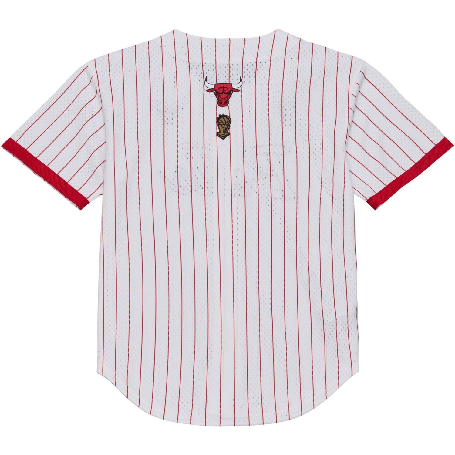 Mitchell & Ness Basketballtrikot Baseball Jersey STRIPED Chicago Bulls