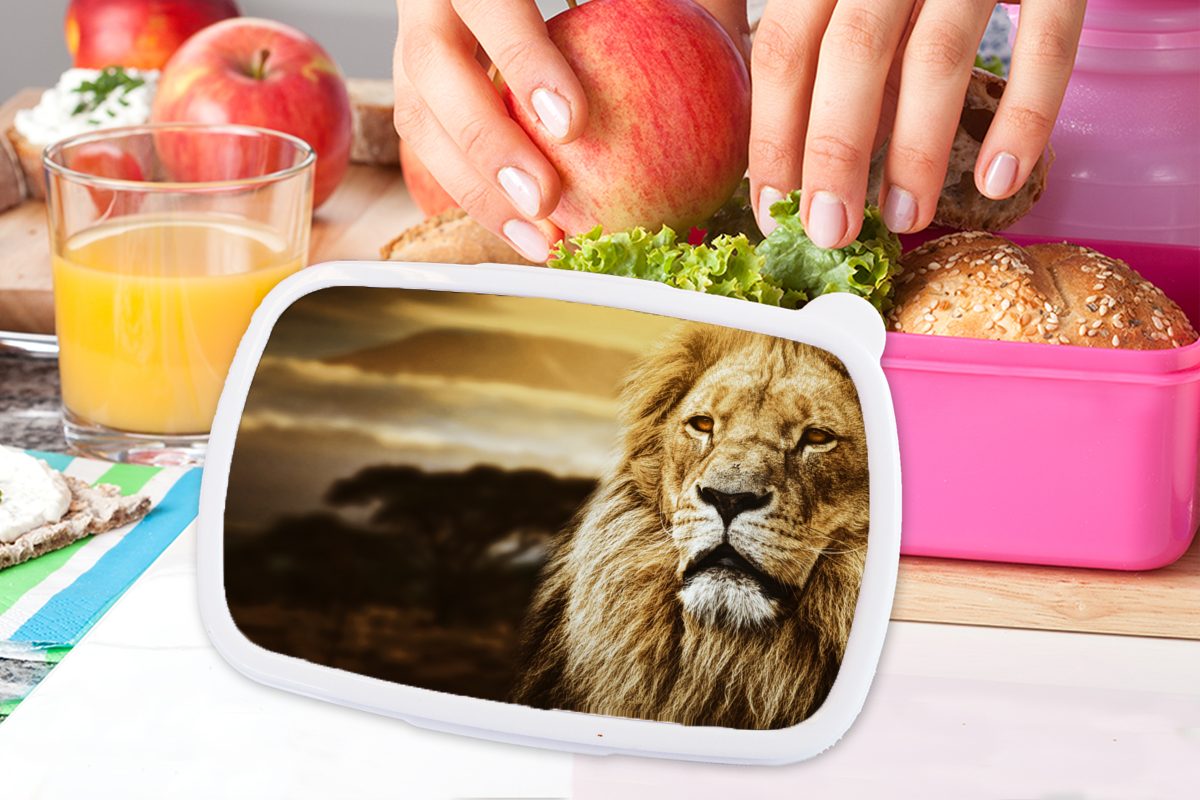 Kinder, für - Mädchen, Brotdose Snackbox, Lunchbox Brotbox (2-tlg), Wildes MuchoWow Afrika, Sonnenuntergang Kunststoff - Tier Kunststoff, rosa Erwachsene,