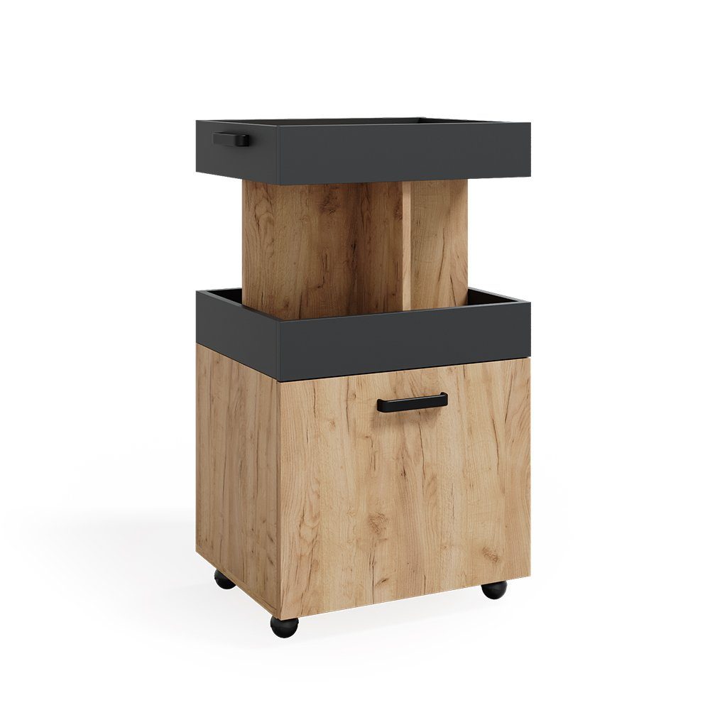 Vicco Barschrank Kamber, Goldkraft Eiche/Anthrazit, 50 günstig online kaufen