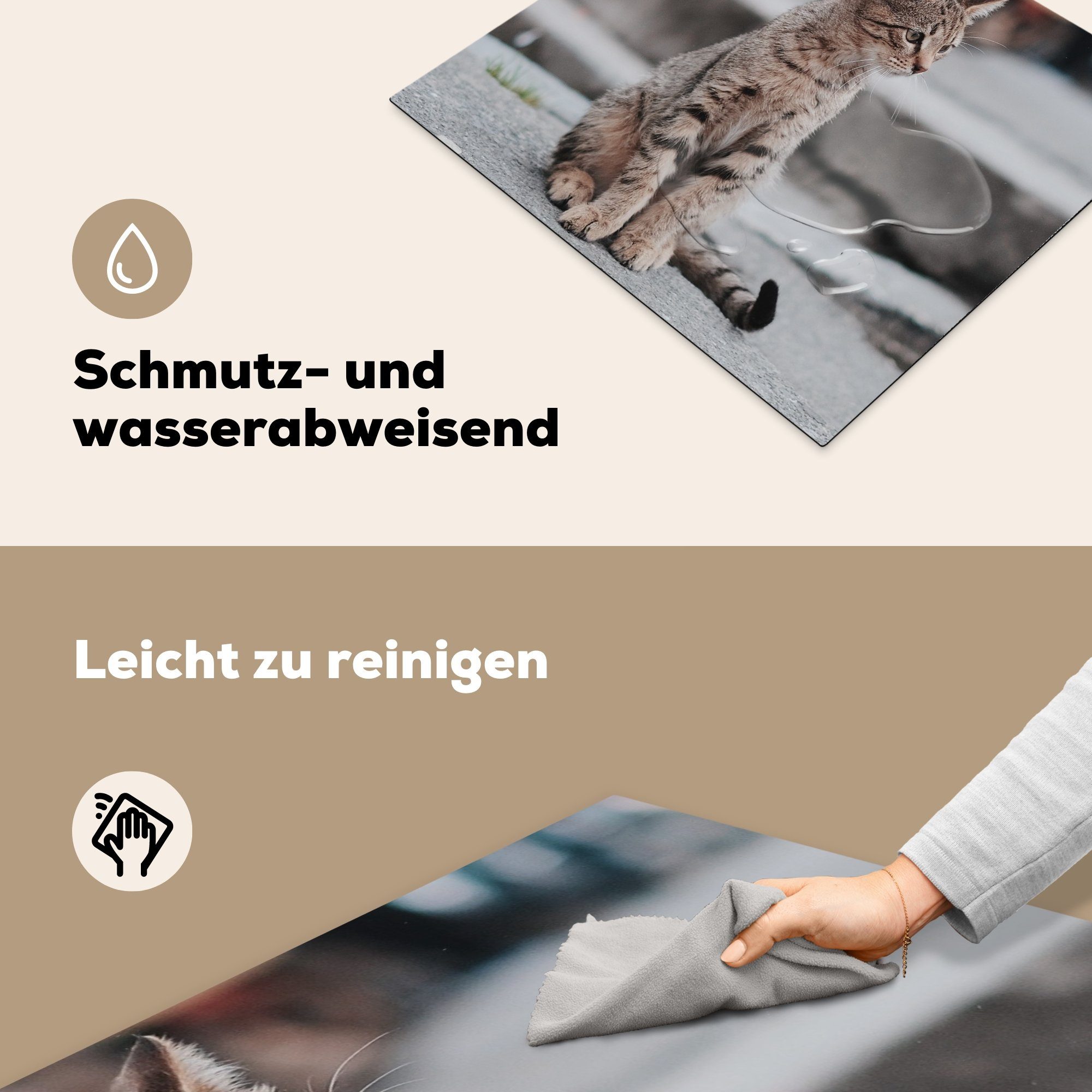 (1 Draußen - Katze Mobile MuchoWow Herdblende-/Abdeckplatte Weg, 60x52 - nutzbar, cm, Vinyl, tlg), Ceranfeldabdeckung Arbeitsfläche