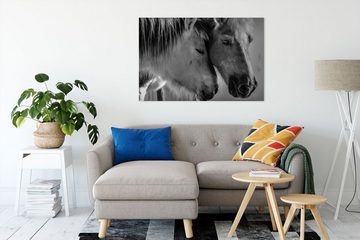 Pixxprint Leinwandbild zwei liebevolle Pferde, zwei liebevolle Pferde (1 St), Leinwandbild fertig bespannt, inkl. Zackenaufhänger