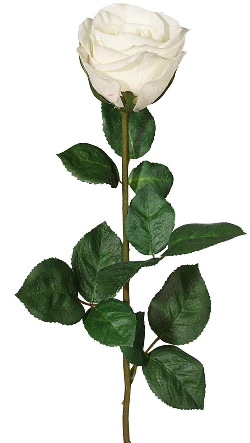 Kunstblume, Creativ green, Höhe 69 cm günstig online kaufen