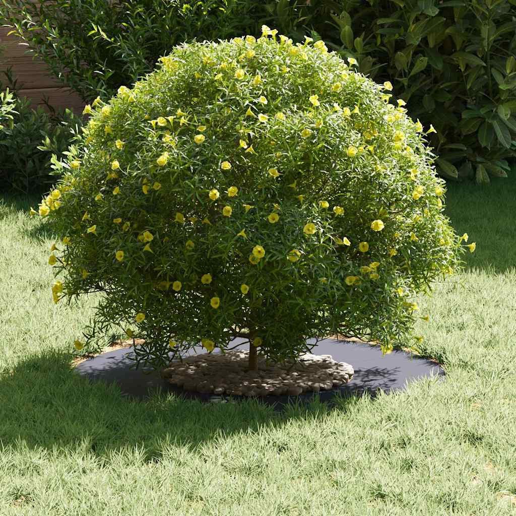 vidaXL Blumentopf Flacher Baumring Anthrazit Ø30 günstig online kaufen