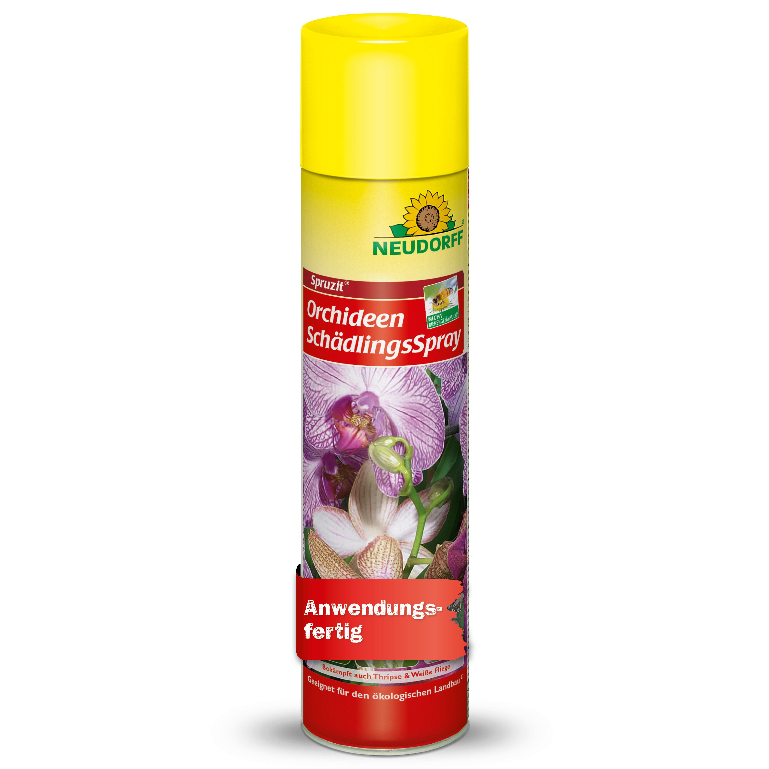 Neudorff Insektenspray Spruzit OrchideenSchädlingsSpray 300 ml, 0.3 l, Wirkt gegen Eier, Larven & ausgewachsene Insekten, SchädlingsSpray gegen typische Schädlinge an Orchideen, Anwendungsfertiges SchädlingsSpray speziell für Orchideen