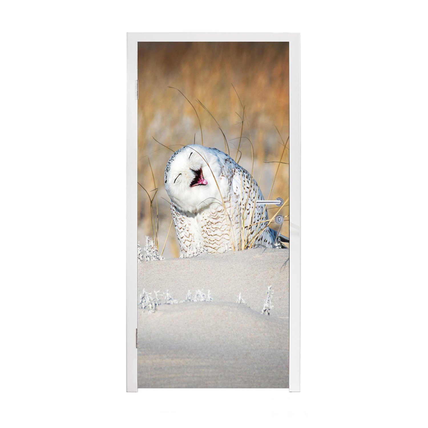 MuchoWow Türtapete Eule - Schnee - Düne, Matt, bedruckt, (1 St), Fototapete für Tür, Türaufkleber, 75x205 cm
