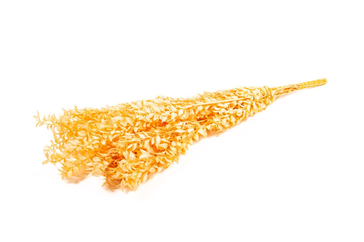 Trockenblume Ruscus Trockenzweige AGNIATA, pfirsich, 70-75cm, Ø17cm, INNA-Glas