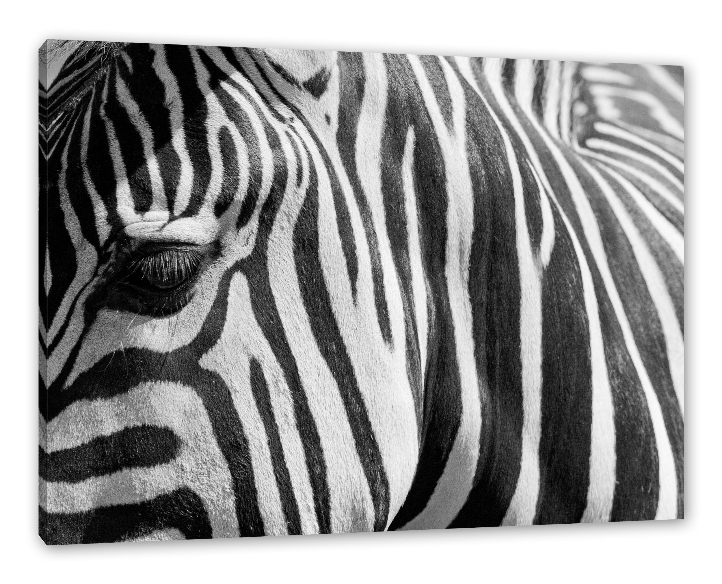 Pixxprint Leinwandbild Zebra Porträt, Zebra inkl. St), Leinwandbild Zackenaufhänger Porträt fertig (1 bespannt