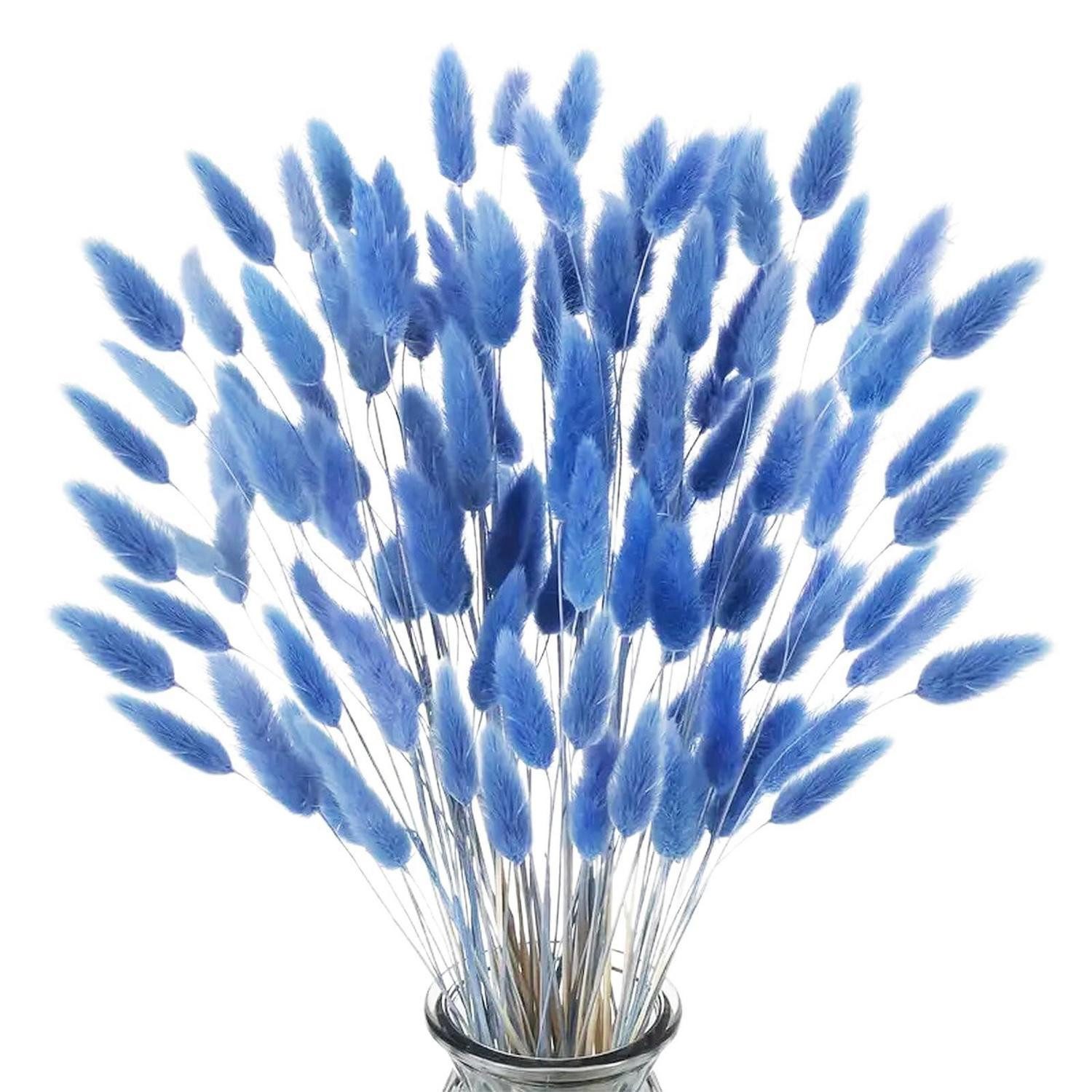 Trockenblume Trockenblumen Pampasgras Blau 45cm 120Stk, LuxusKollektion, Höhe 10 cm