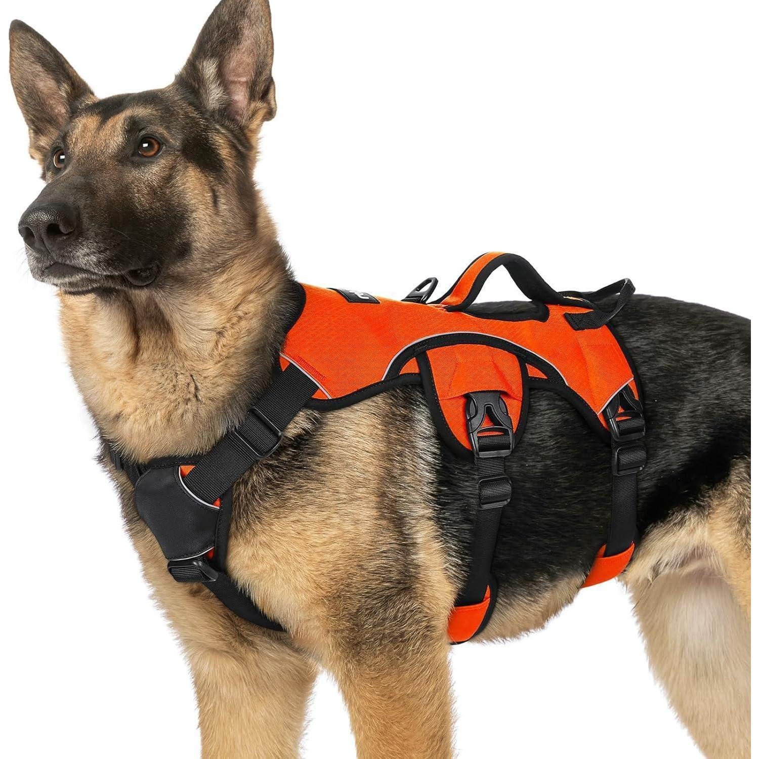 LuxusKollektion Hunde-Sicherheitsgeschirr Hundegeschirr ausbruchsicher Panikgeschirr XL (1er Pack) Orange