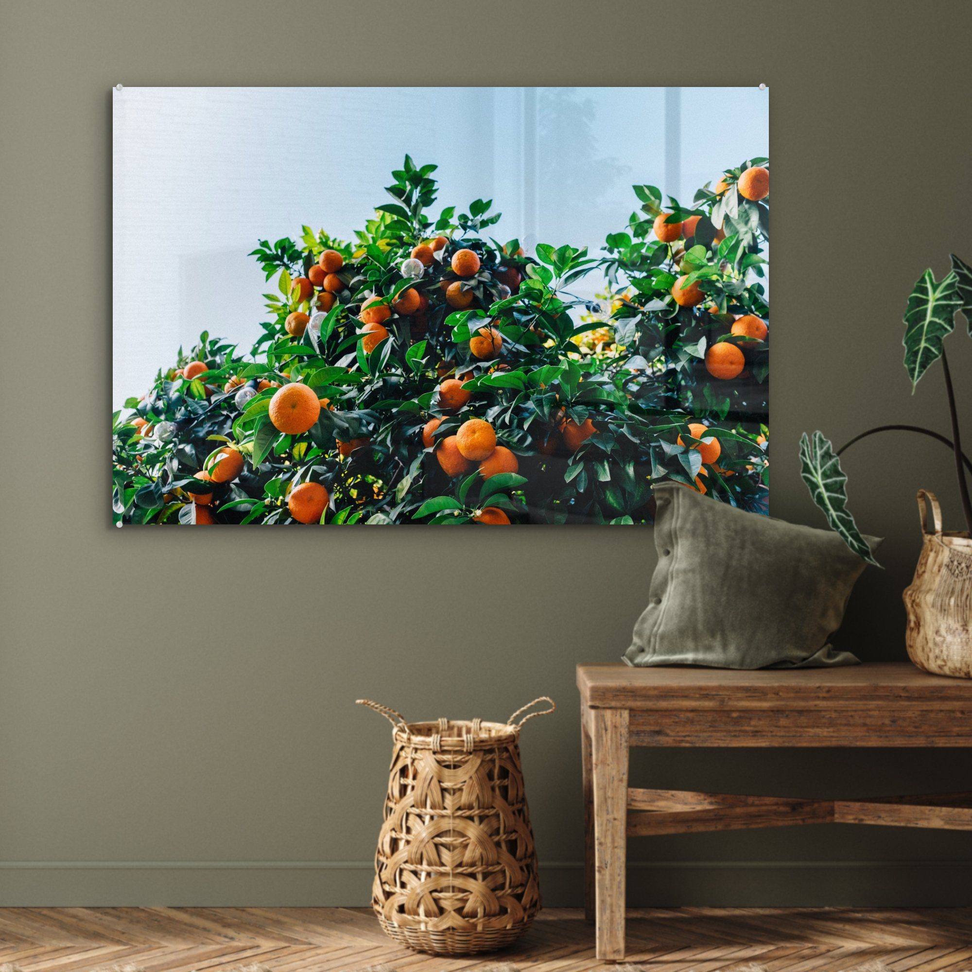 MuchoWow Acrylglasbild Obst - Orange (1 Schlafzimmer Baum, Acrylglasbilder St), & Wohnzimmer 