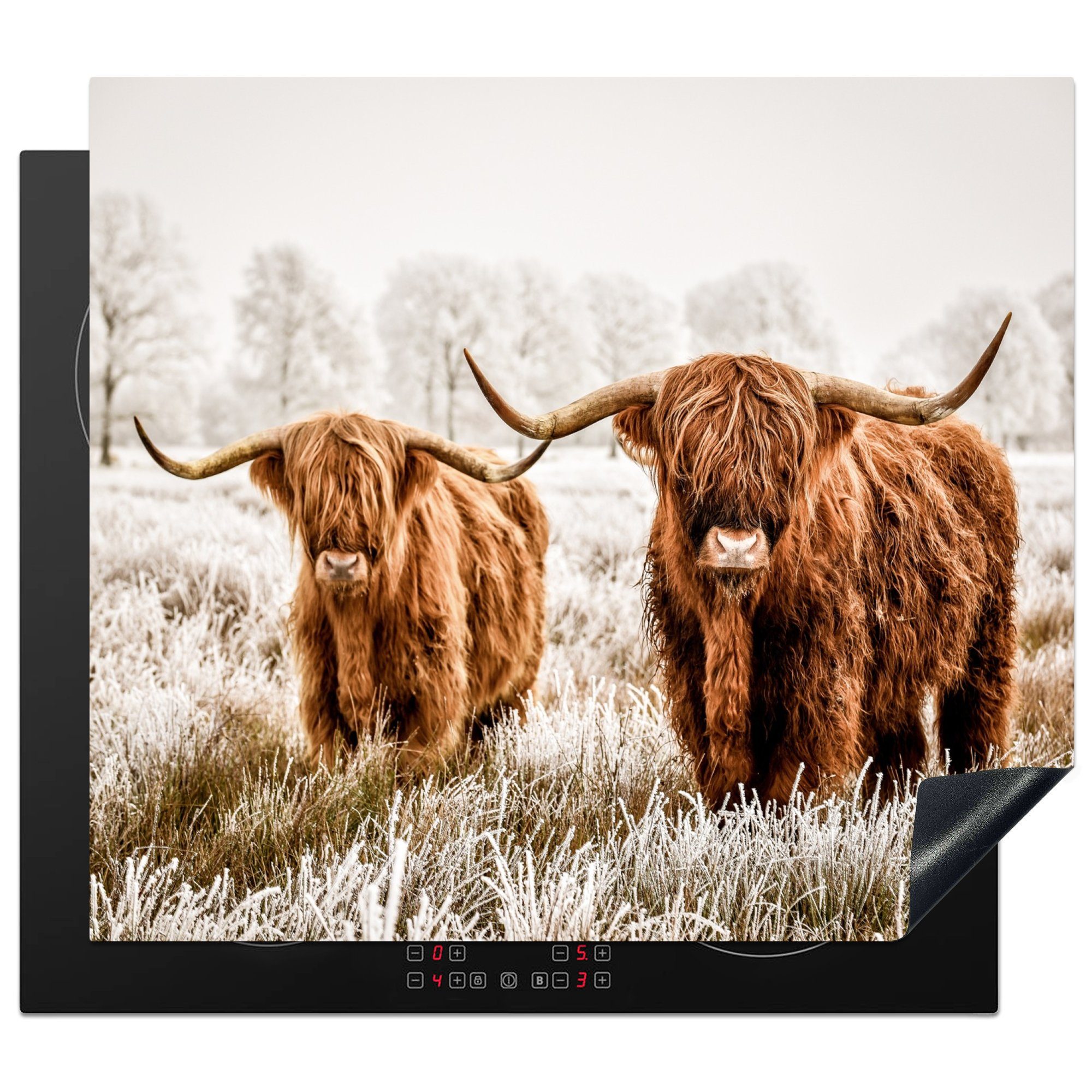 MuchoWow Herdblende-/Abdeckplatte Schottischer Highlander - Kuh - Tiere, Vinyl, (1 tlg), 59x52 cm, Ceranfeldabdeckung für die küche, Induktionsmatte