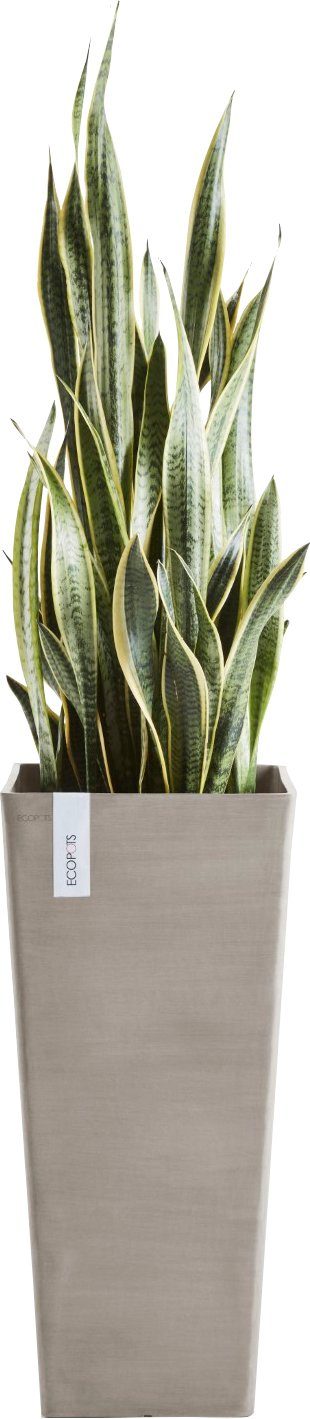 ECOPOTS Blumentopf 32x32x70 BxTxH: cm ROTTERDAM HIGH Taupe