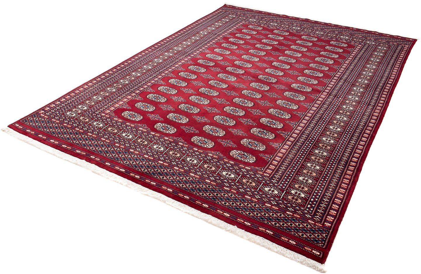 Orientteppich Afghan - Buchara - 240 x 170 cm - dunkelrot, morgenland, rechteckig, Höhe: 7 mm, Wohnzimmer, Handgeknüpft, Einzelstück mit Zertifikat | Kurzflor-Teppiche