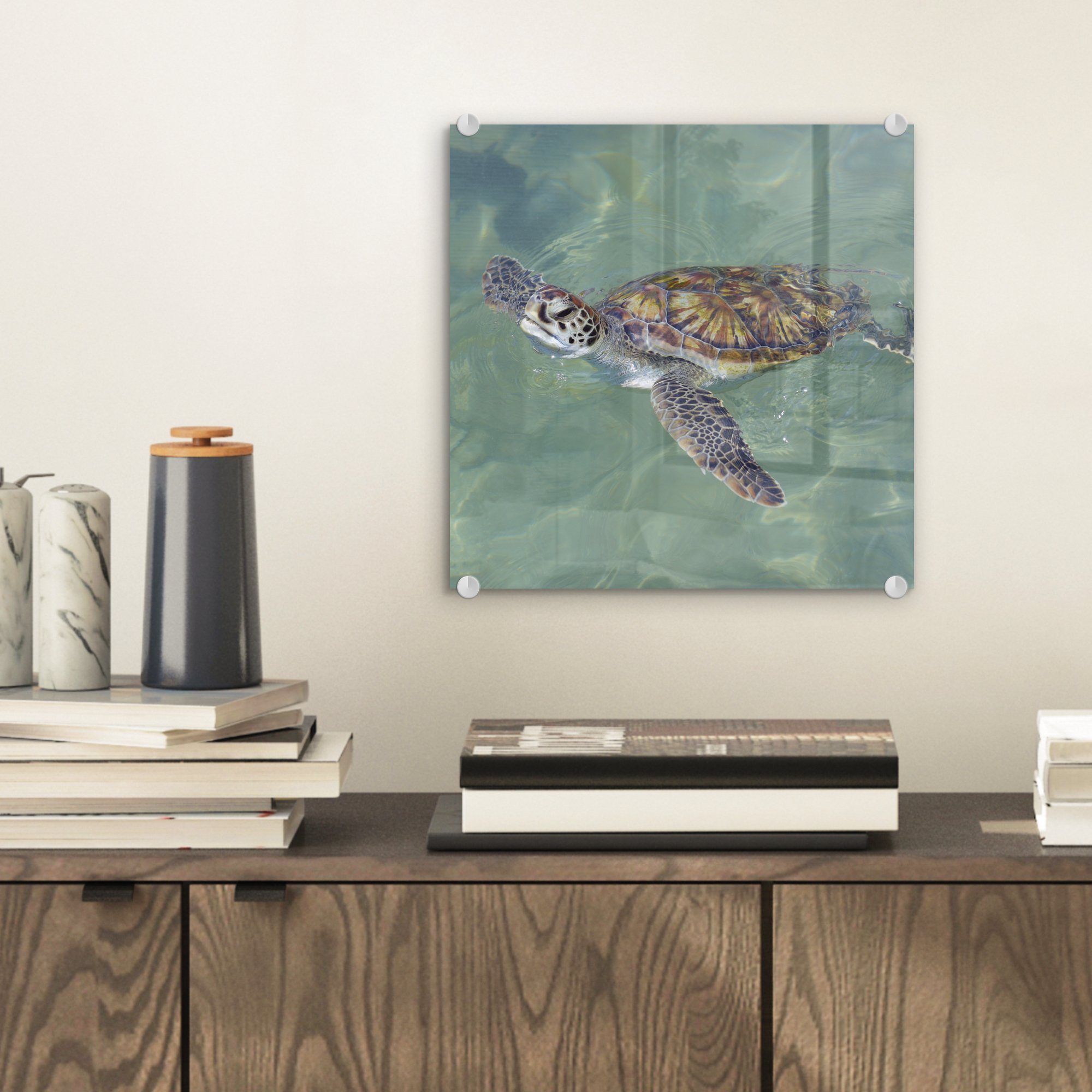 - Wandbild MuchoWow (1 Bilder auf St), auf Wasser, im schwimmt - Glasbilder Schildkröte - Foto Glas Glas Acrylglasbild Wanddekoration