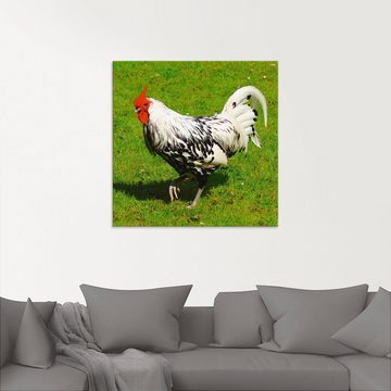 Artland Glasbild Gepunktetes Huhn, Vögel (1 St), in verschiedenen Größen