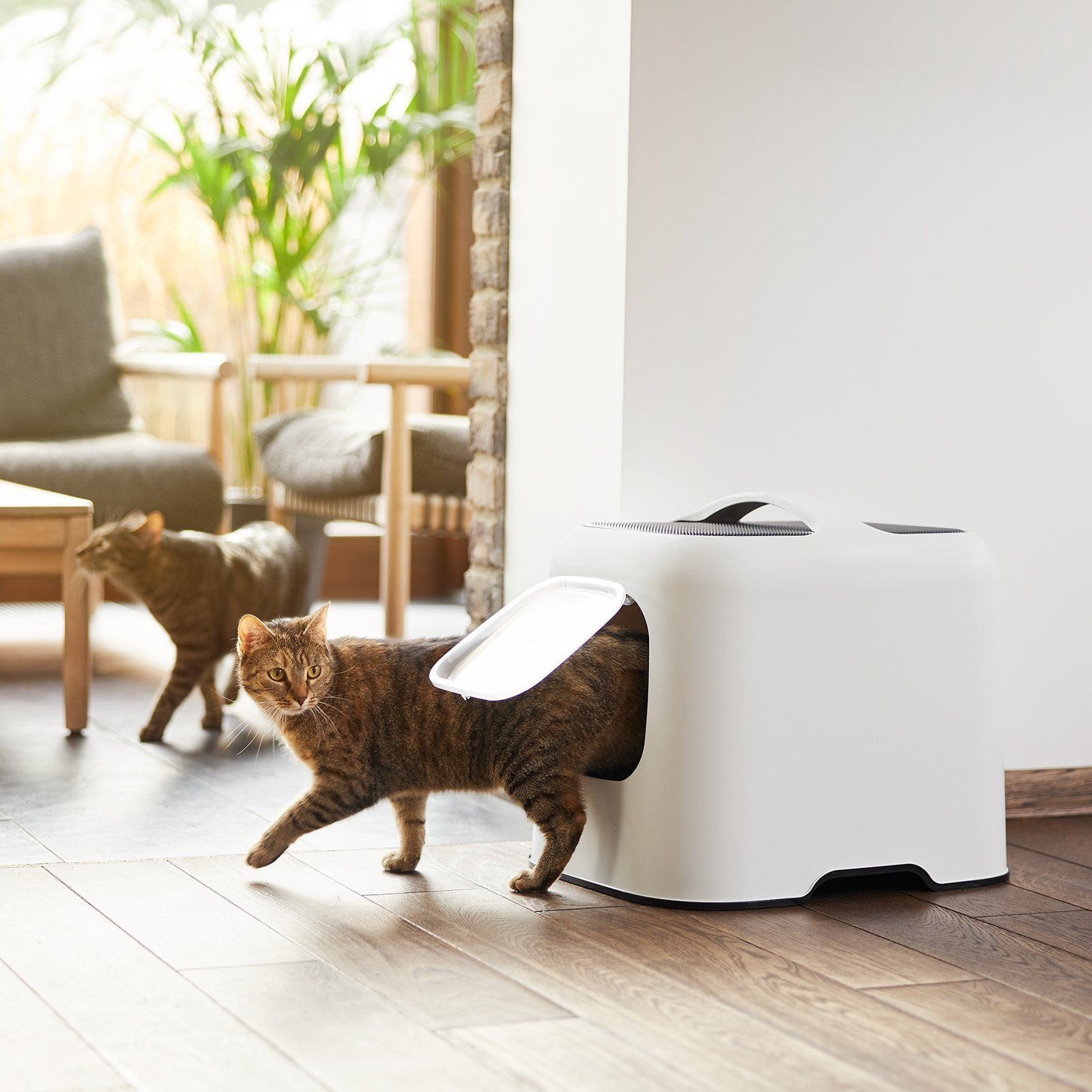 ROTHO Katzentoilette MyPet BIALA modernes Katzenklo mit Haube und Schaufel