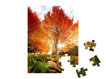 puzzleYOU Puzzle Lichtdurchfluteter Baum mit rotem Laub im Herbst, 48 Puzzleteile, puzzleYOU-Kollektionen Herbst, Himmel & Jahreszeiten