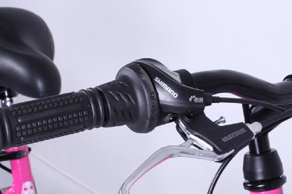 Talson Cityrad 26 Zoll Cityrad, 21 Gang Shimano, Kettenschaltung, mit Beleuchtung nach StVZO und Gepäckträger Rosa