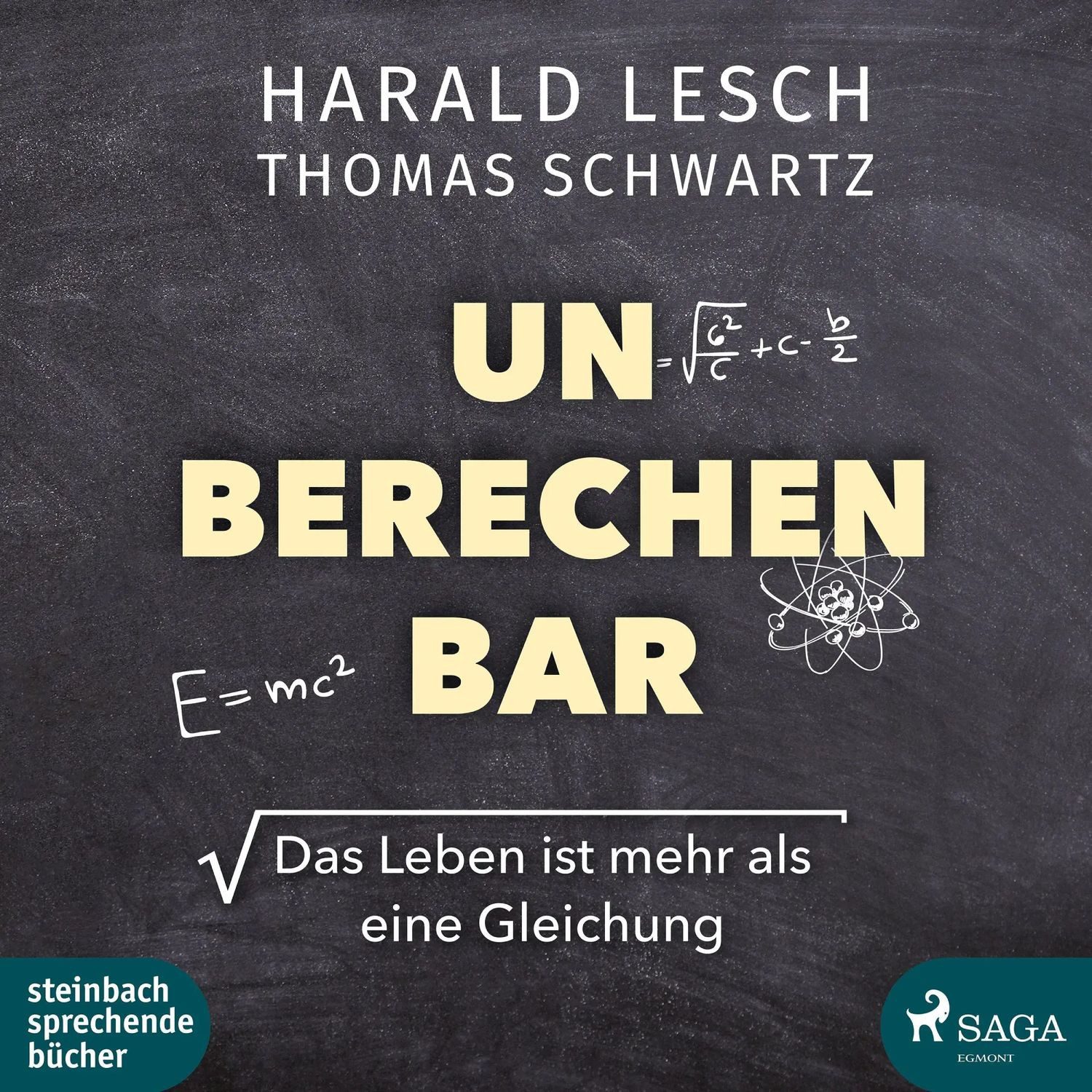 Steinbach Hörspiel Unberechenbar