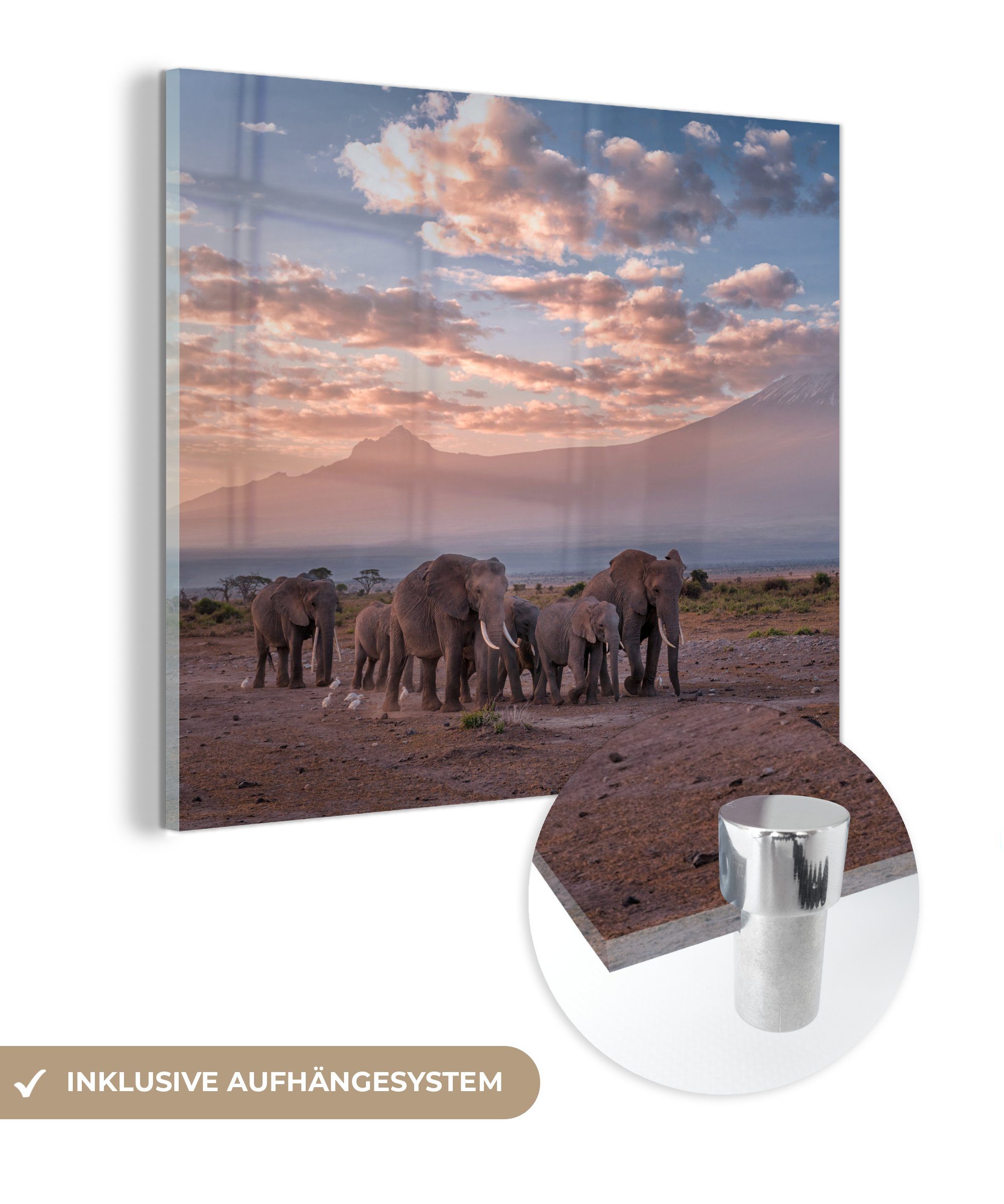 Foto - - - - auf Bilder Glas Wandbild Tiere MuchoWow Savanne, Abend - St), - Acrylglasbild Glasbilder Elefant Wanddekoration - Landschaft Glas (1 auf
