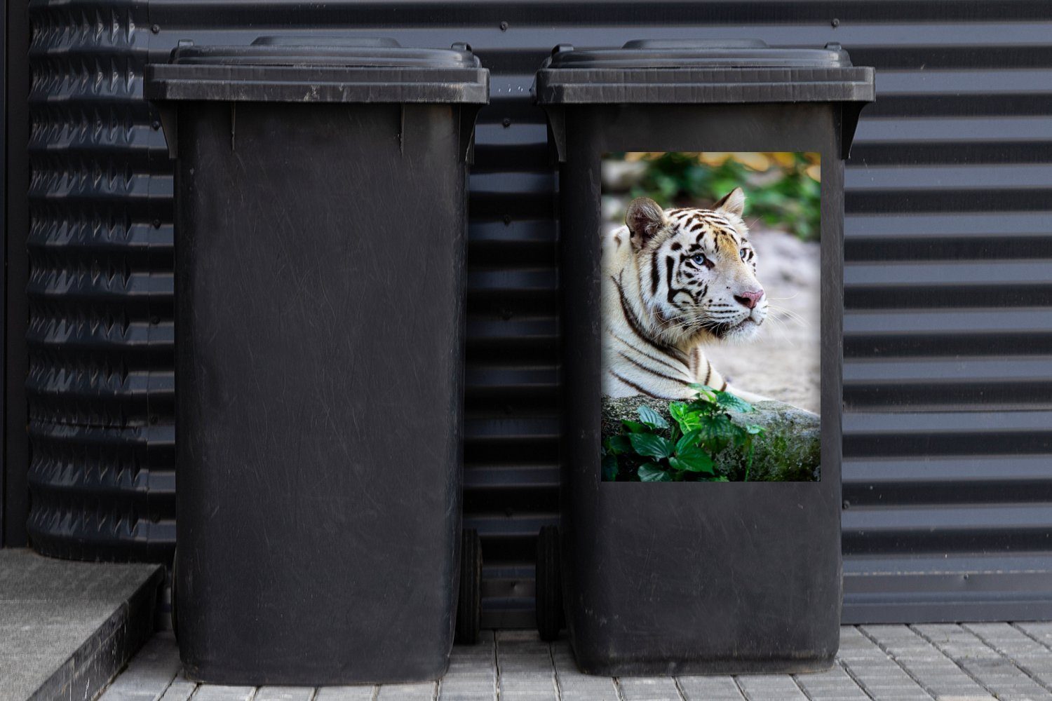 MuchoWow Wandsticker Tiger - Container, Mülleimer-aufkleber, (1 St), - Sticker, Mülltonne, Sand Abfalbehälter Weiß