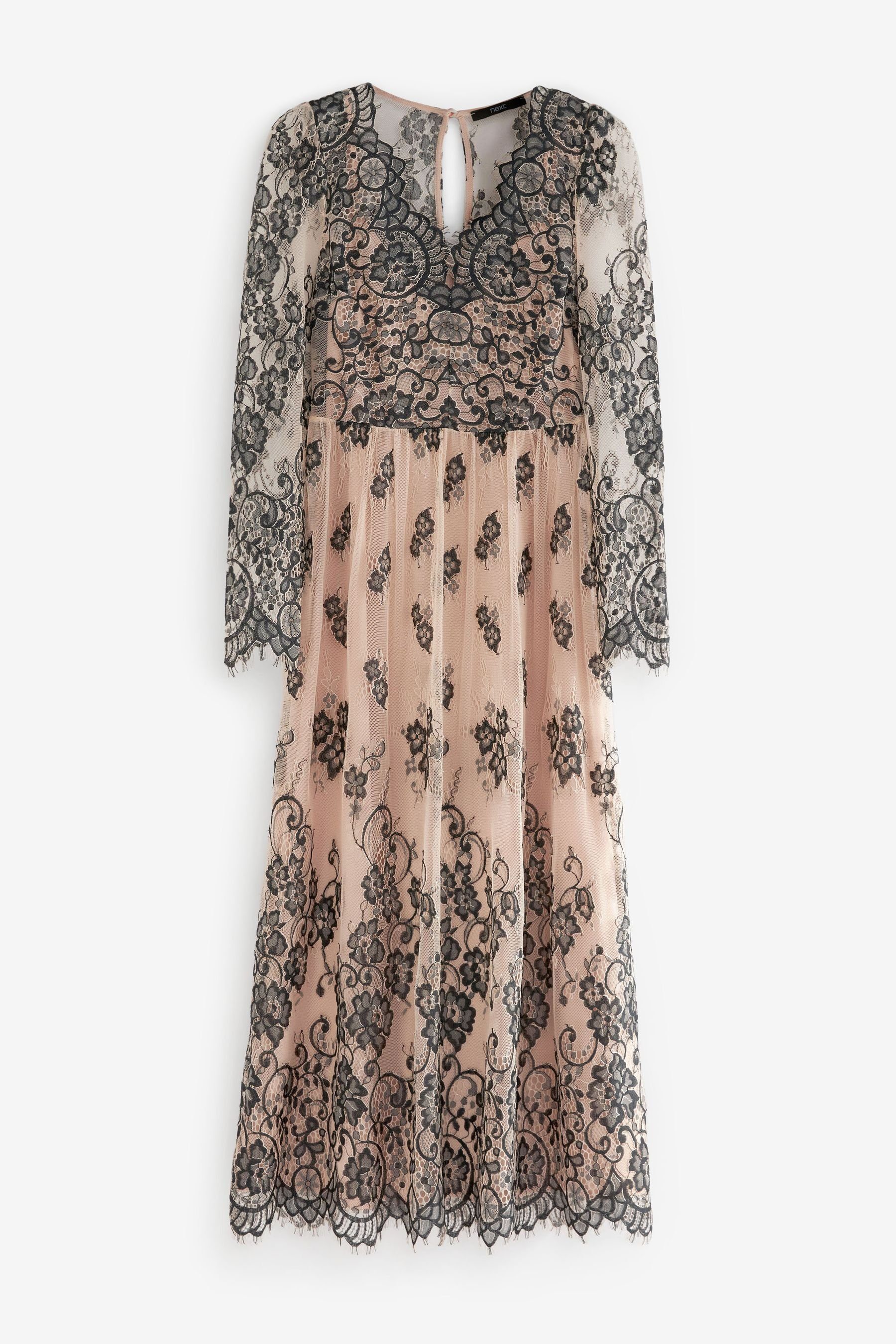 Next Spitzenkleid Langärmeliges Midikleid aus Spitze günstig online kaufen
