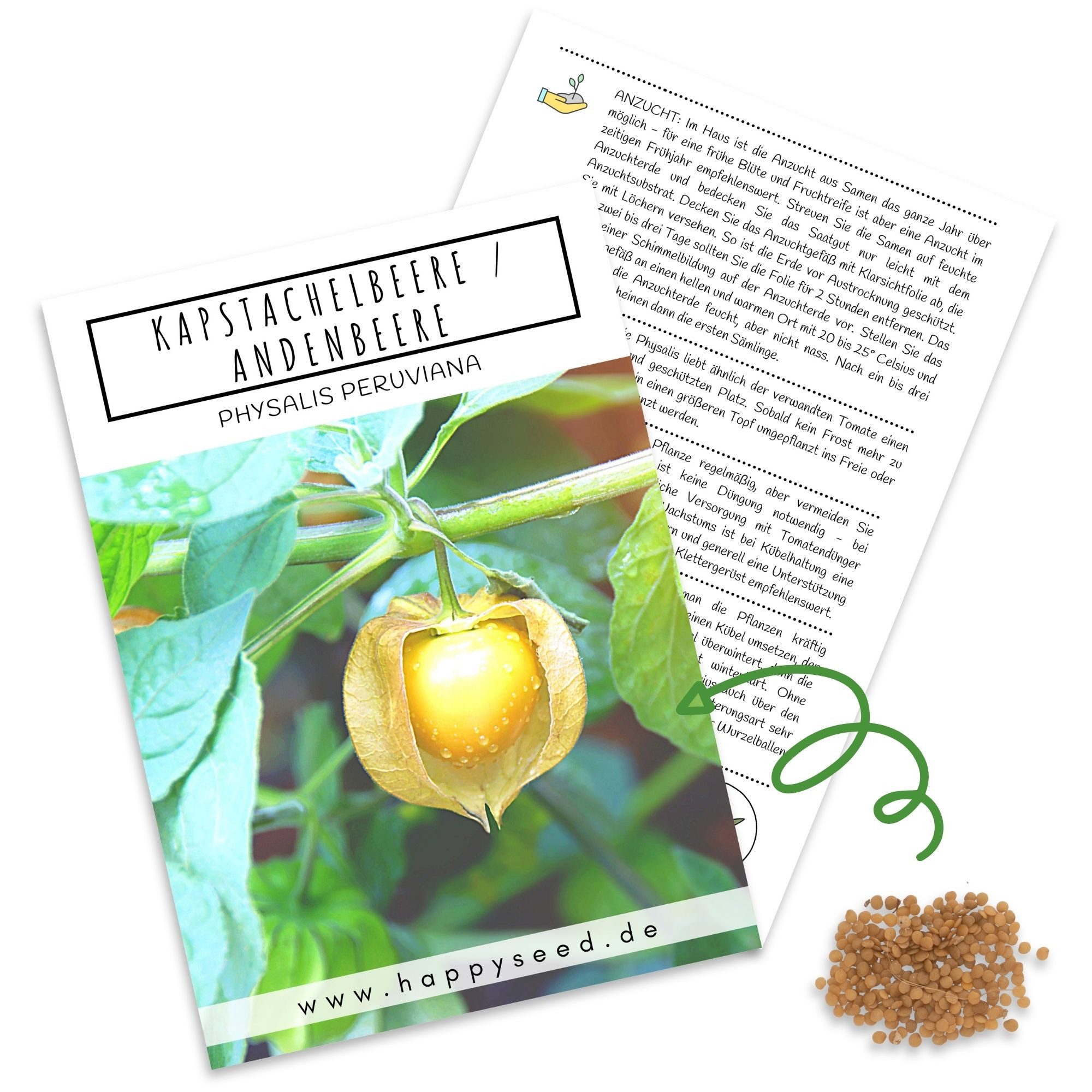 HappySeed Blumensamen Physalis / Kapstachelbeere Samen - Physalis peruviana, Obst