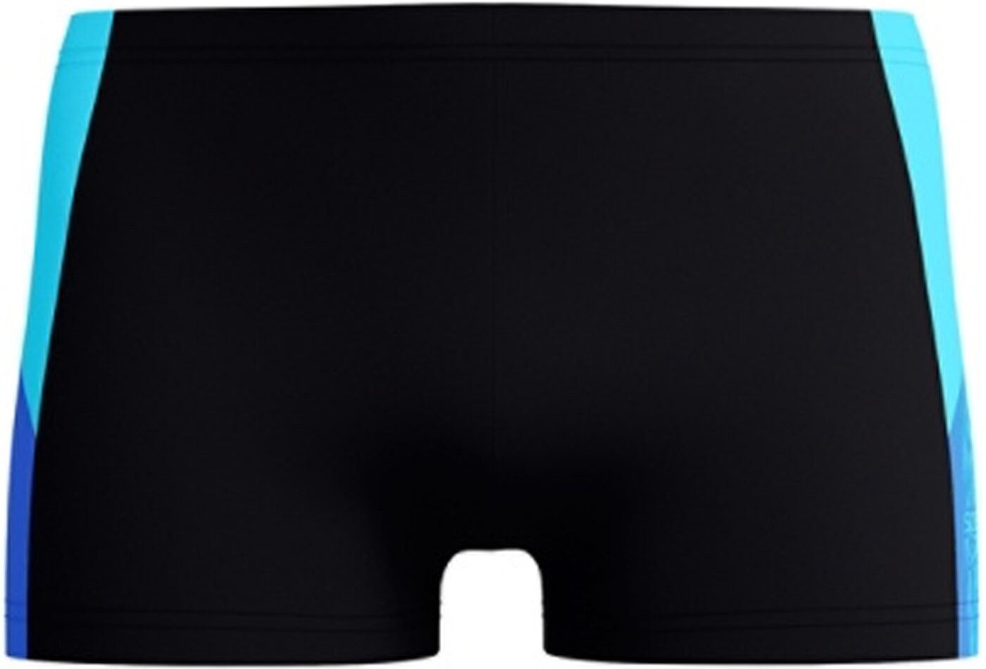 Speedo Badepants Mens Dive Aquashort Black/Cobalt günstig online kaufen