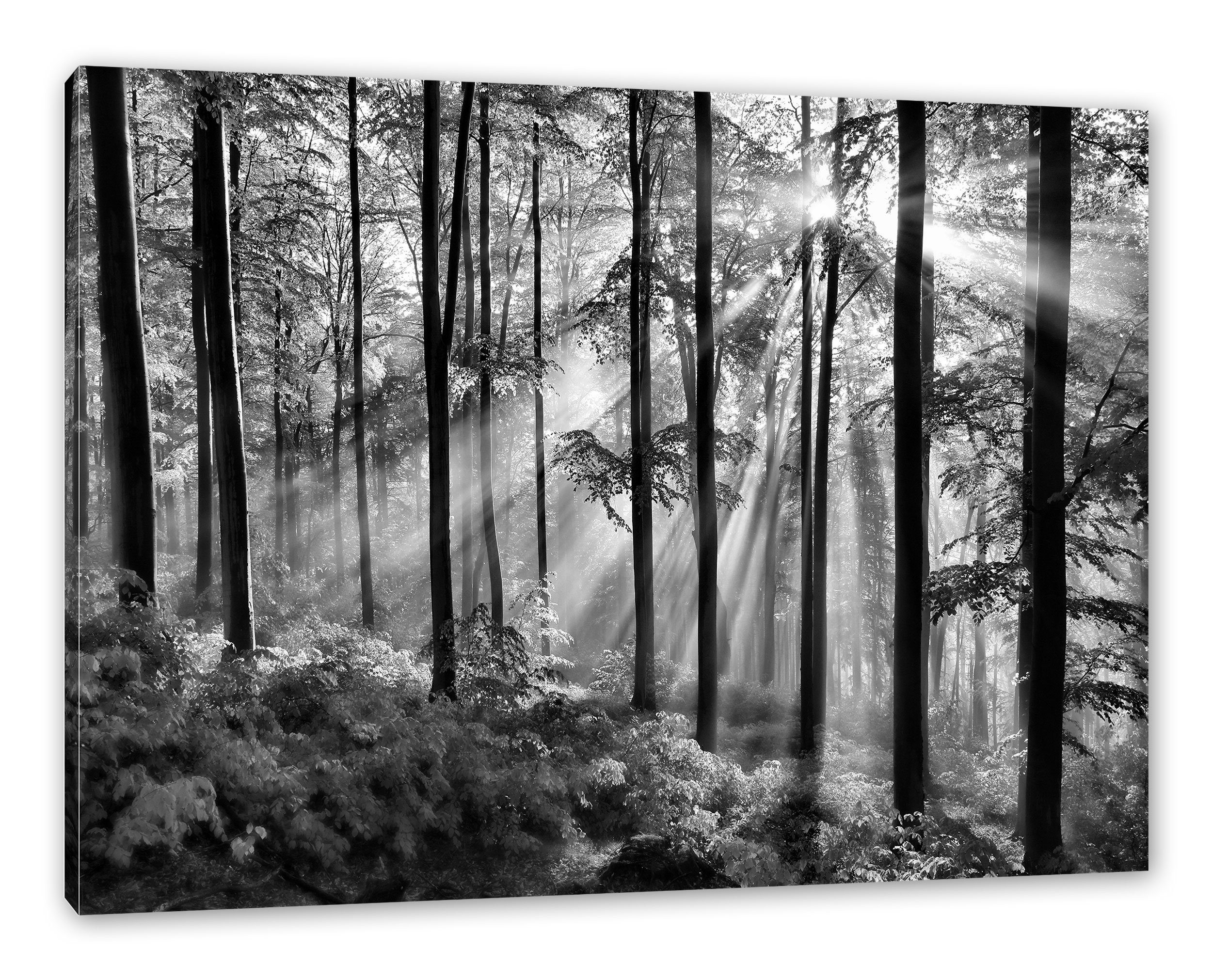 Sonnenstrahlen Wald, Zackenaufhänger (1 fertig Sonnenstrahlen Leinwandbild Leinwandbild Pixxprint Wald bespannt, St), im im inkl.