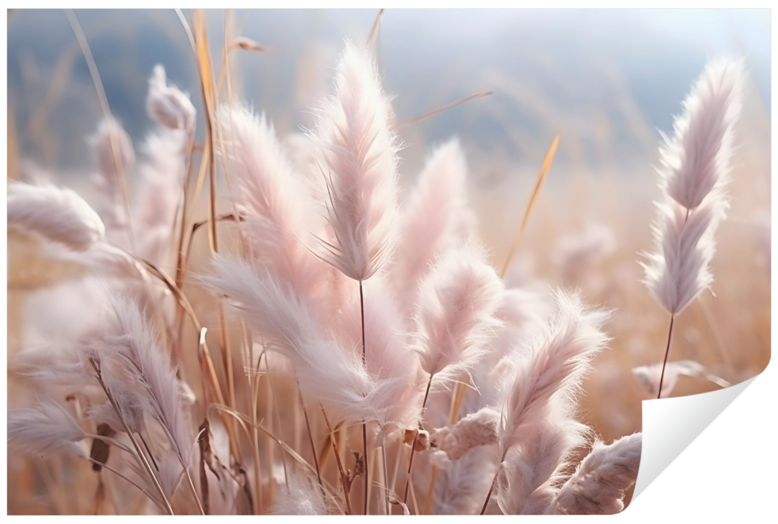 Wallarena Fototapete Pampasgras Boho Vlies Tapete Wohnzimmer Schlafzimmer W günstig online kaufen