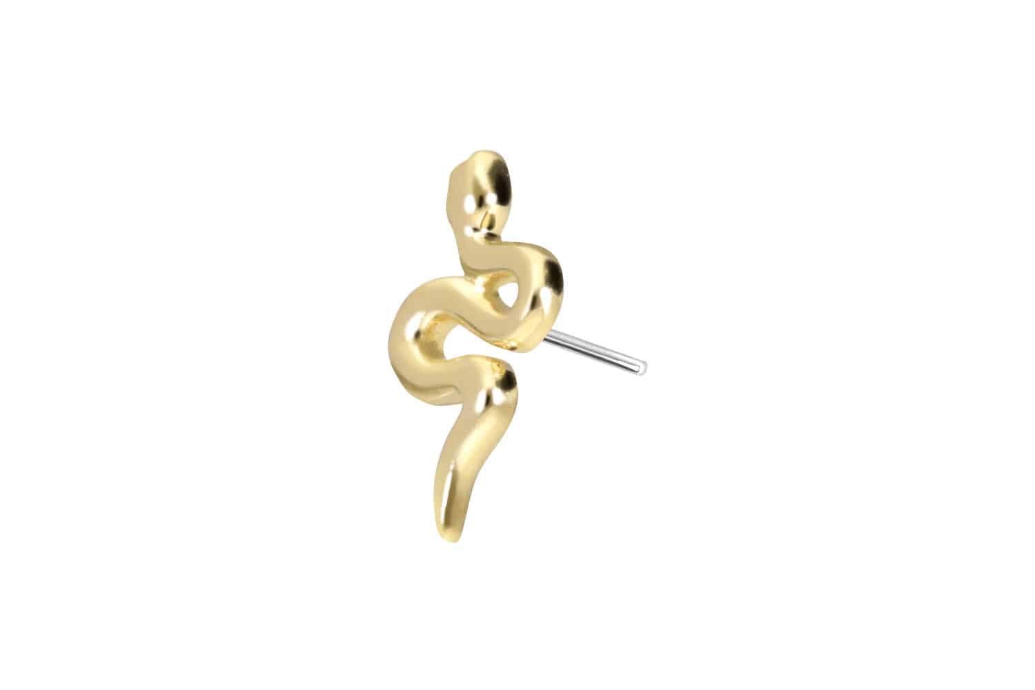 Piercing-Set 14 Karat Gold Aufsatz mit Titan Push Pin SCHLANGE