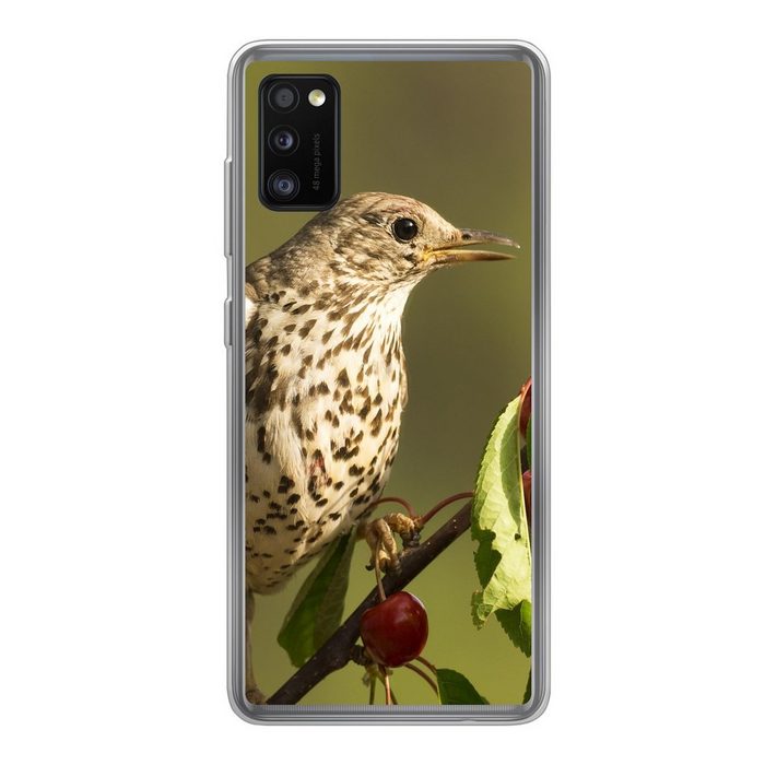 MuchoWow Handyhülle Vogel auf einem Ast Handyhülle Samsung Galaxy A41 Smartphone-Bumper Print Handy