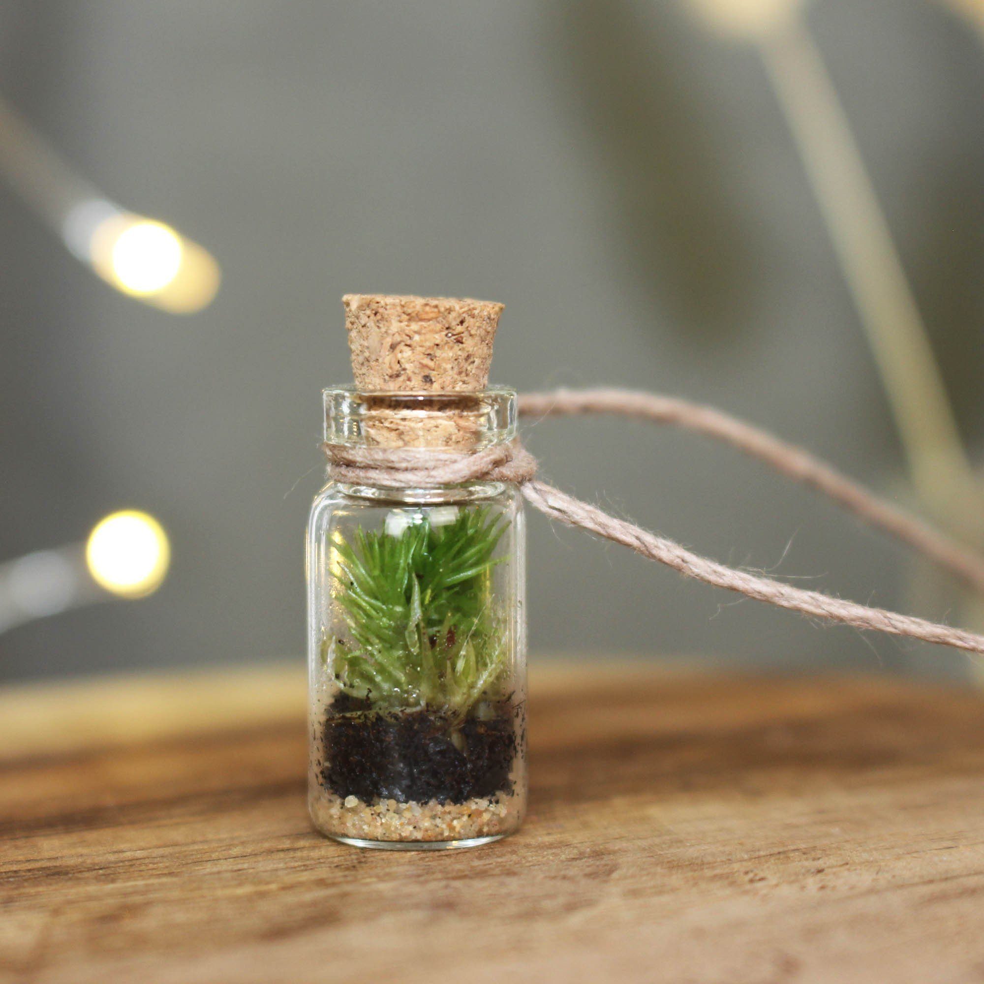 mitienda Terrarium Kleines Terrarium als Halskette - Mini Bosque