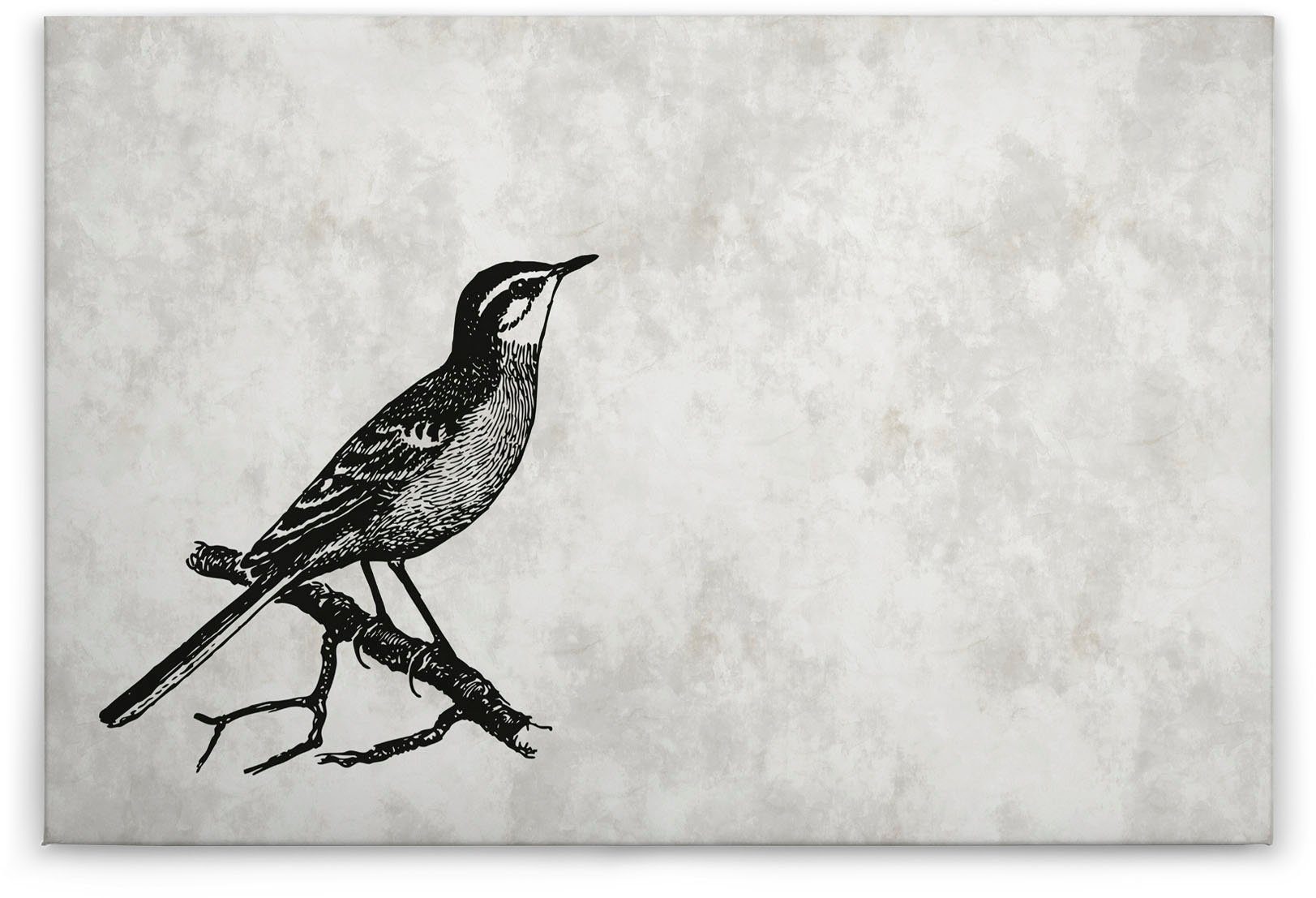 A.S. St), Schwarz-Weiß (1 4, Keilrahmen Leinwandbild Vögel Bild sketchpad Vogel Zeichnung Création