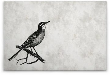 A.S. Création Leinwandbild sketchpad 4, Vögel (1 St), Schwarz-Weiß Zeichnung Vogel Keilrahmen Bild