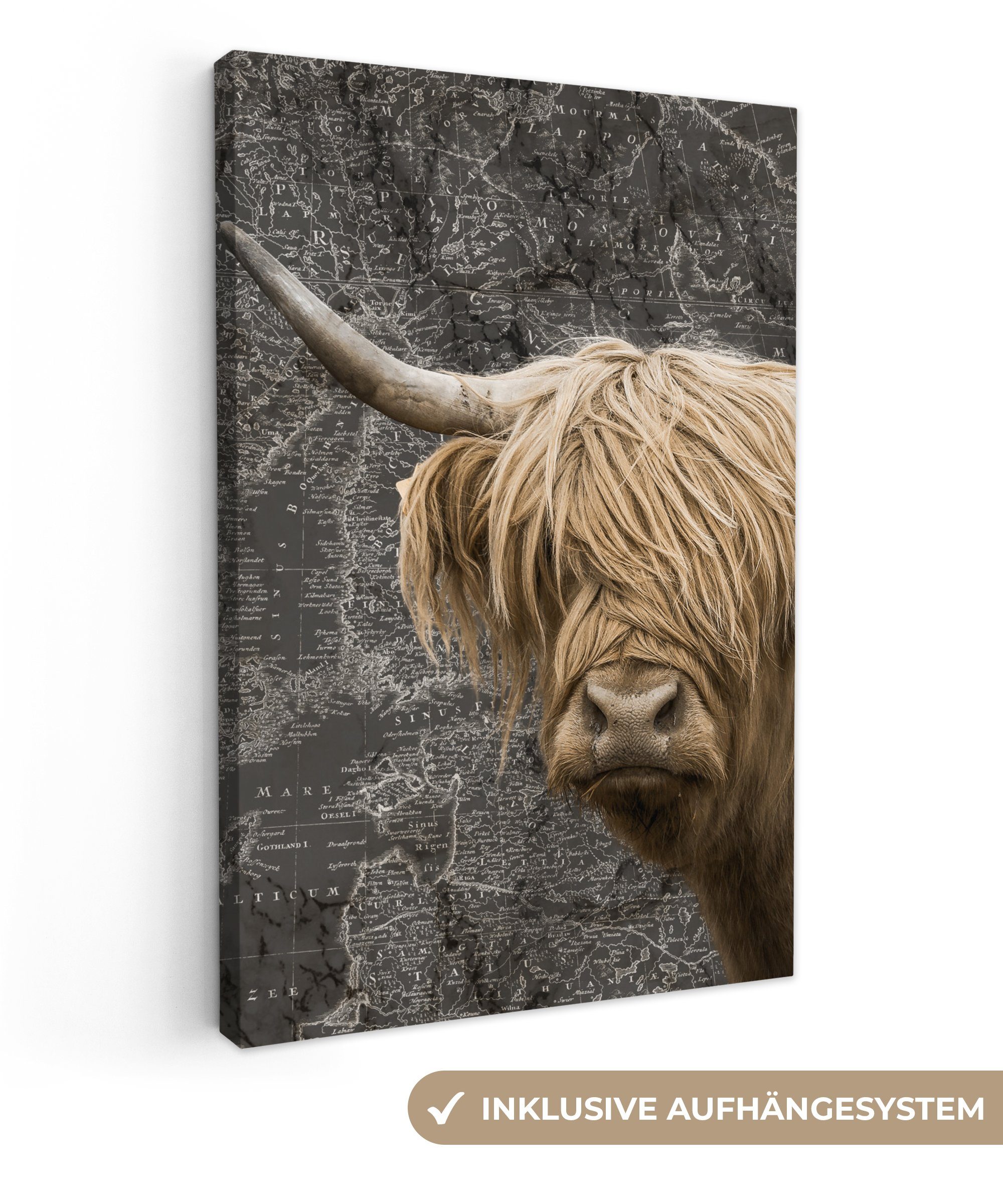 OneMillionCanvasses® Leinwandbild Schottische Highlander - Kühe - Weltkarte, (1 St), Leinwandbild fertig bespannt inkl. Zackenaufhänger, Gemälde, 20x30 cm