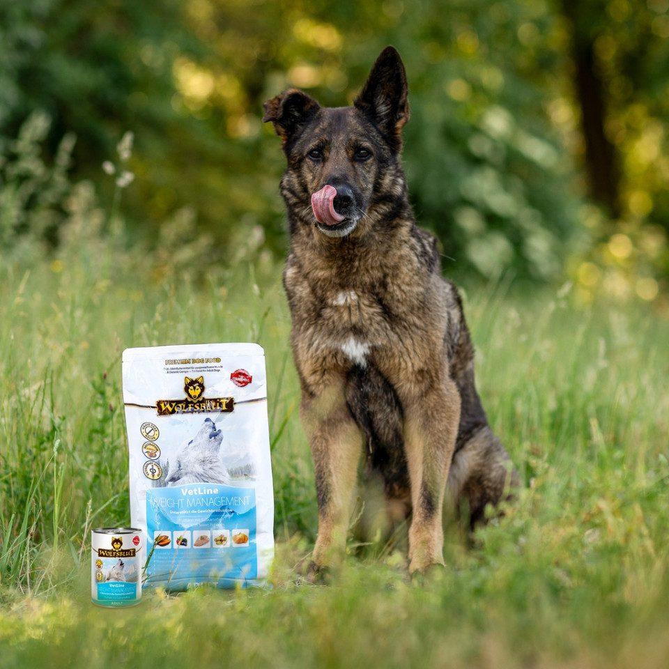 Wolfsblut Vetline Weight Management - Unterstützend zur Gewichtsreduktion, Trockenfutter für: Hunde