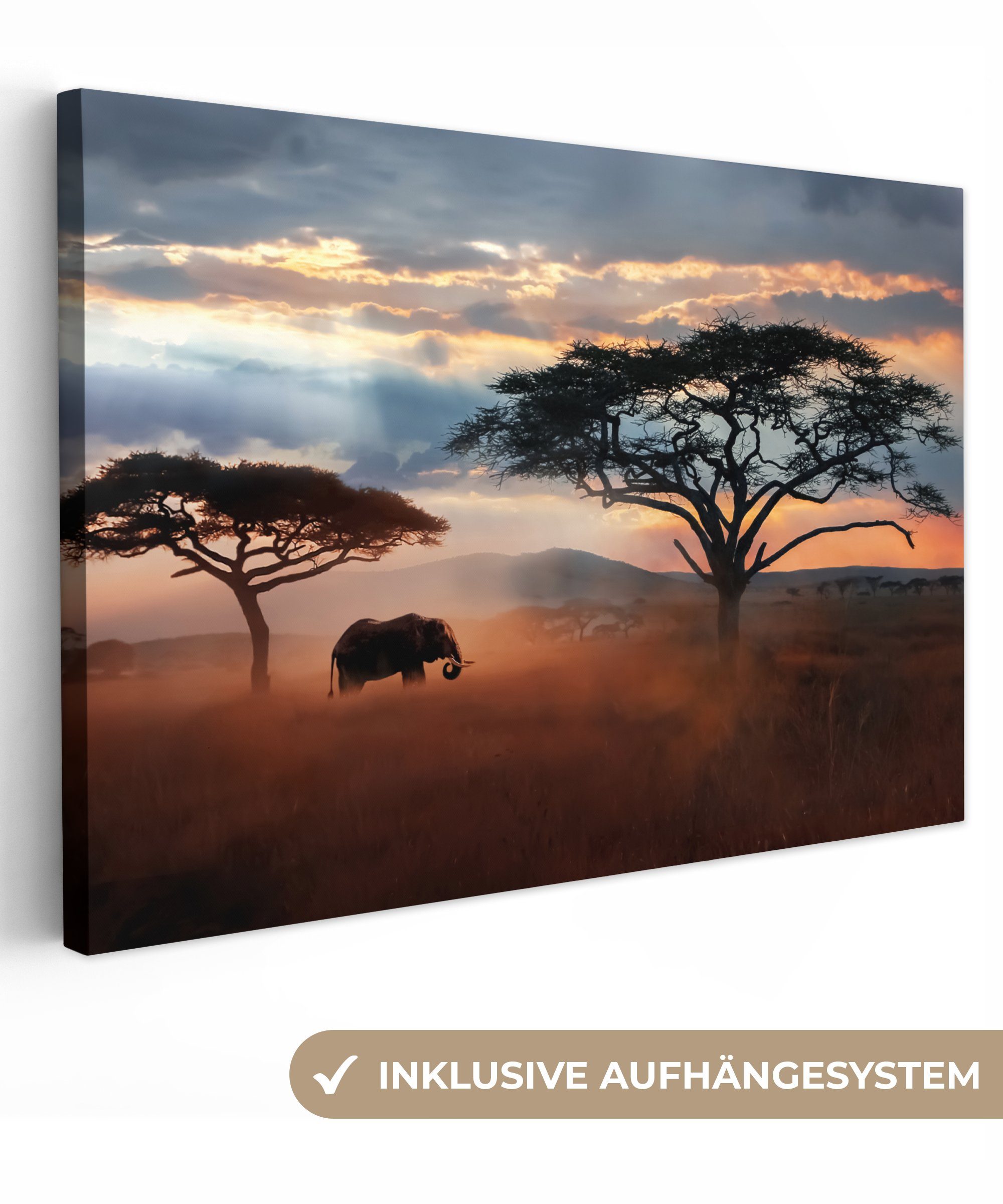 OneMillionCanvasses® Leinwandbild Elefant - Baum - günstig online kaufen