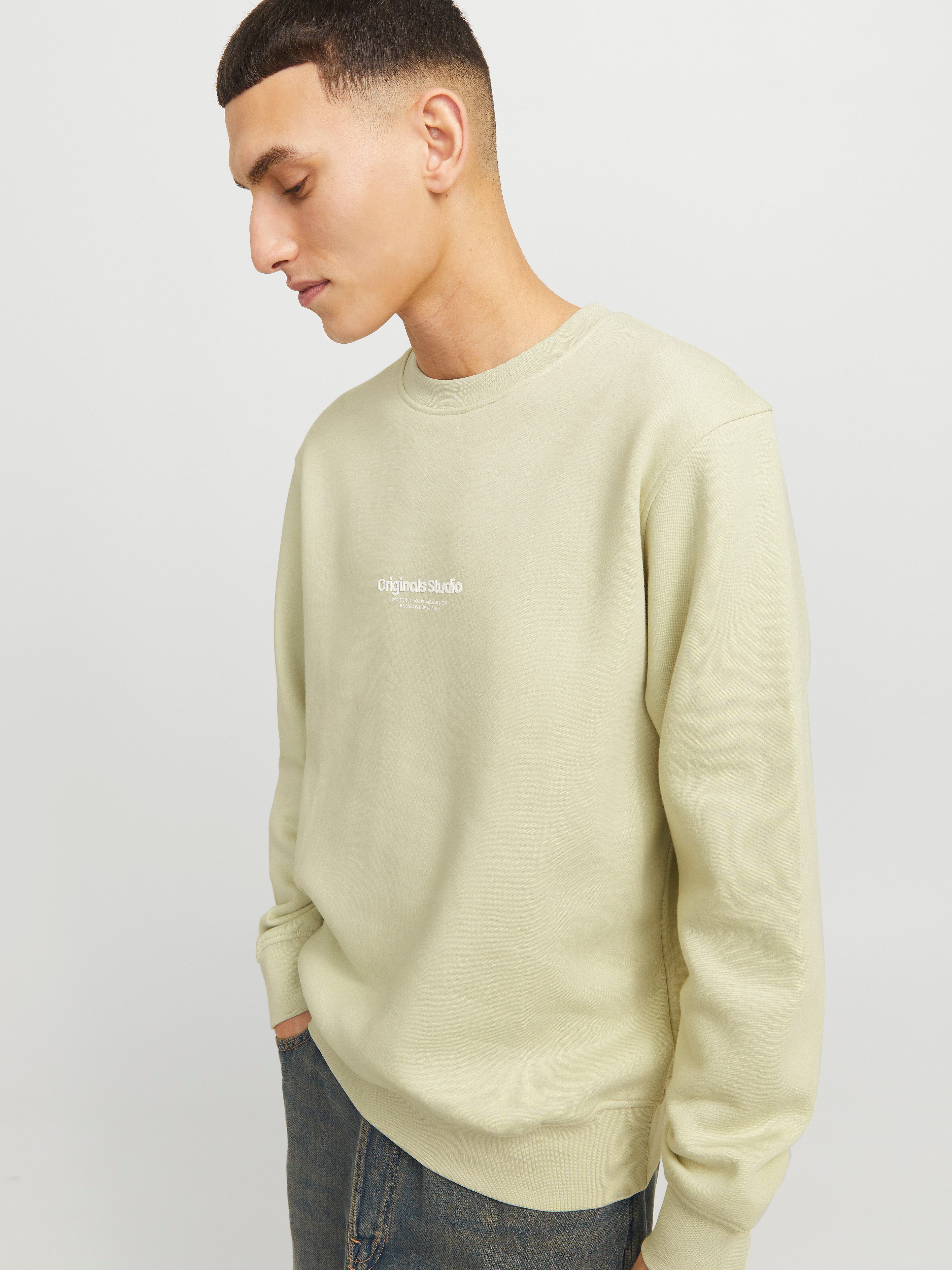 Jack & Jones Sweatshirt JORVESTERBRO SWEAT günstig online kaufen